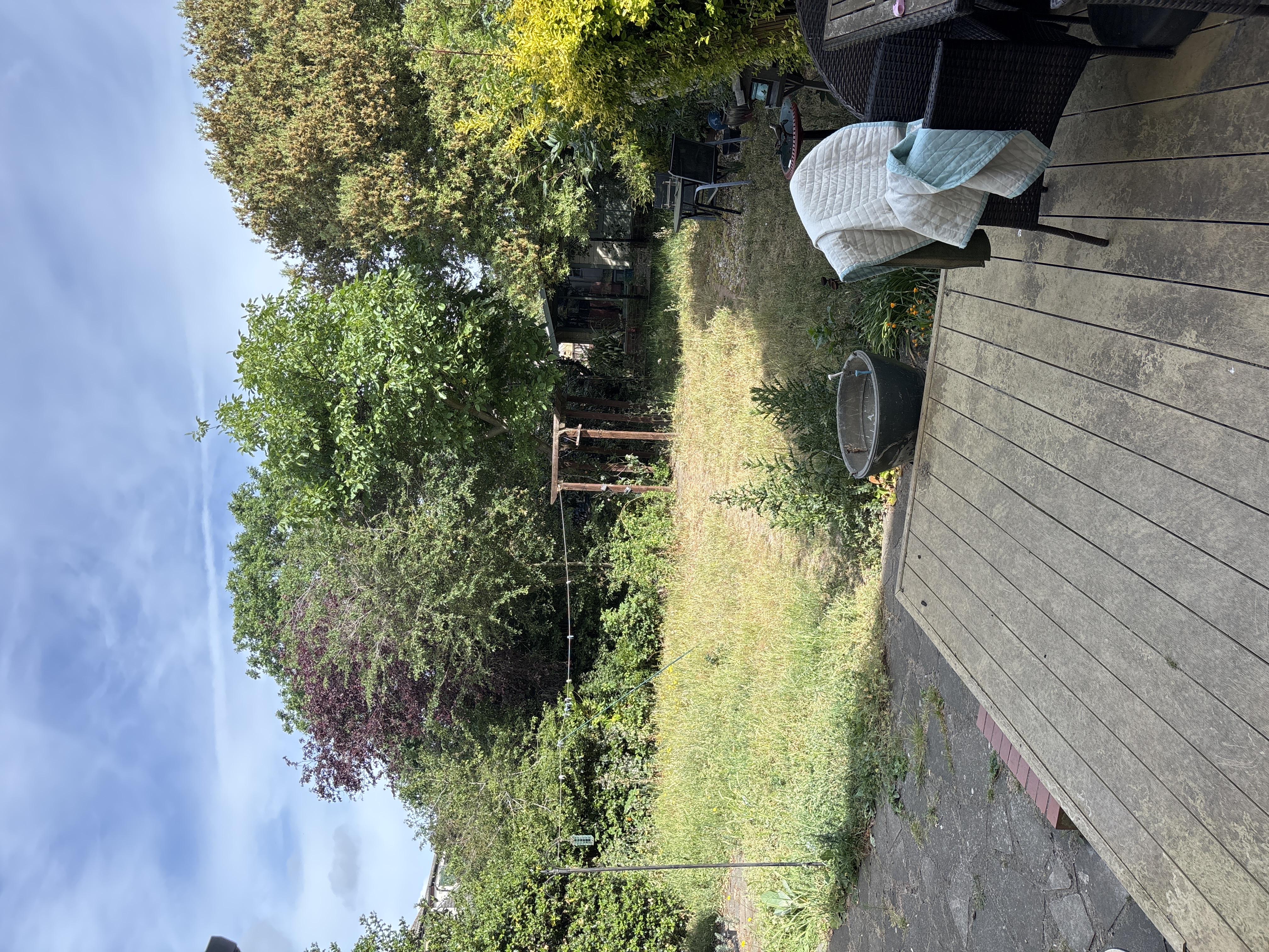 image-18