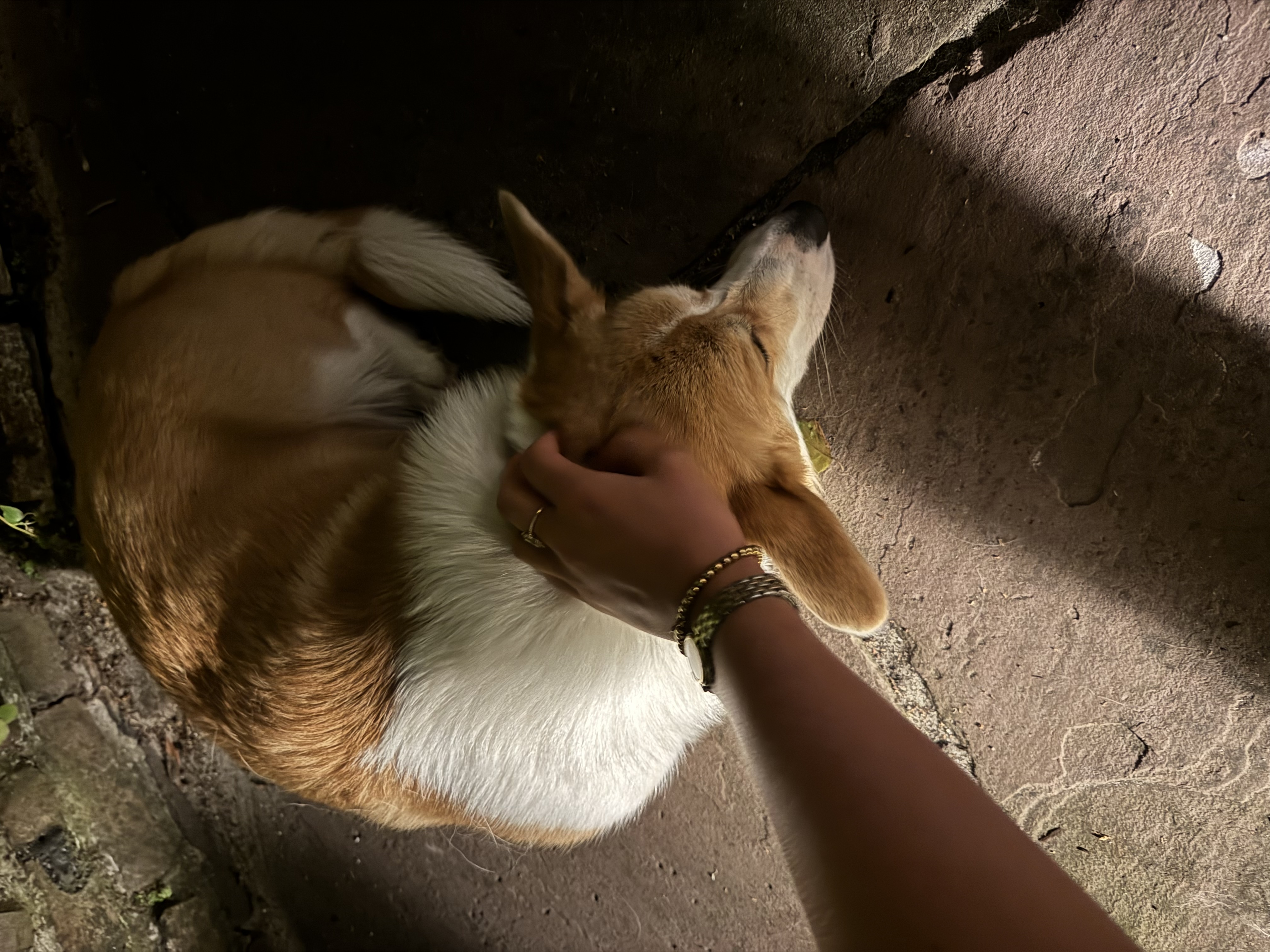 image-7
