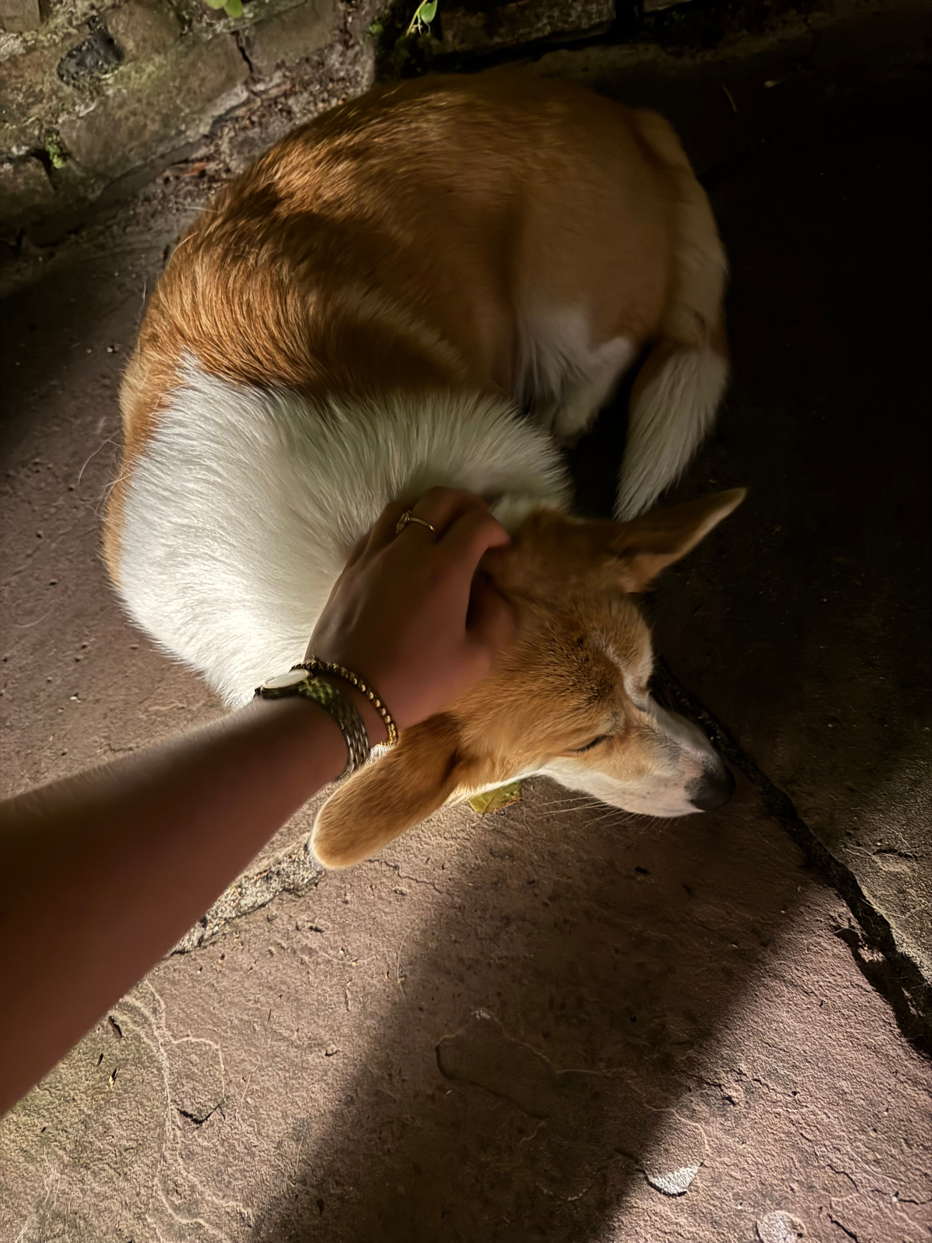 image-7