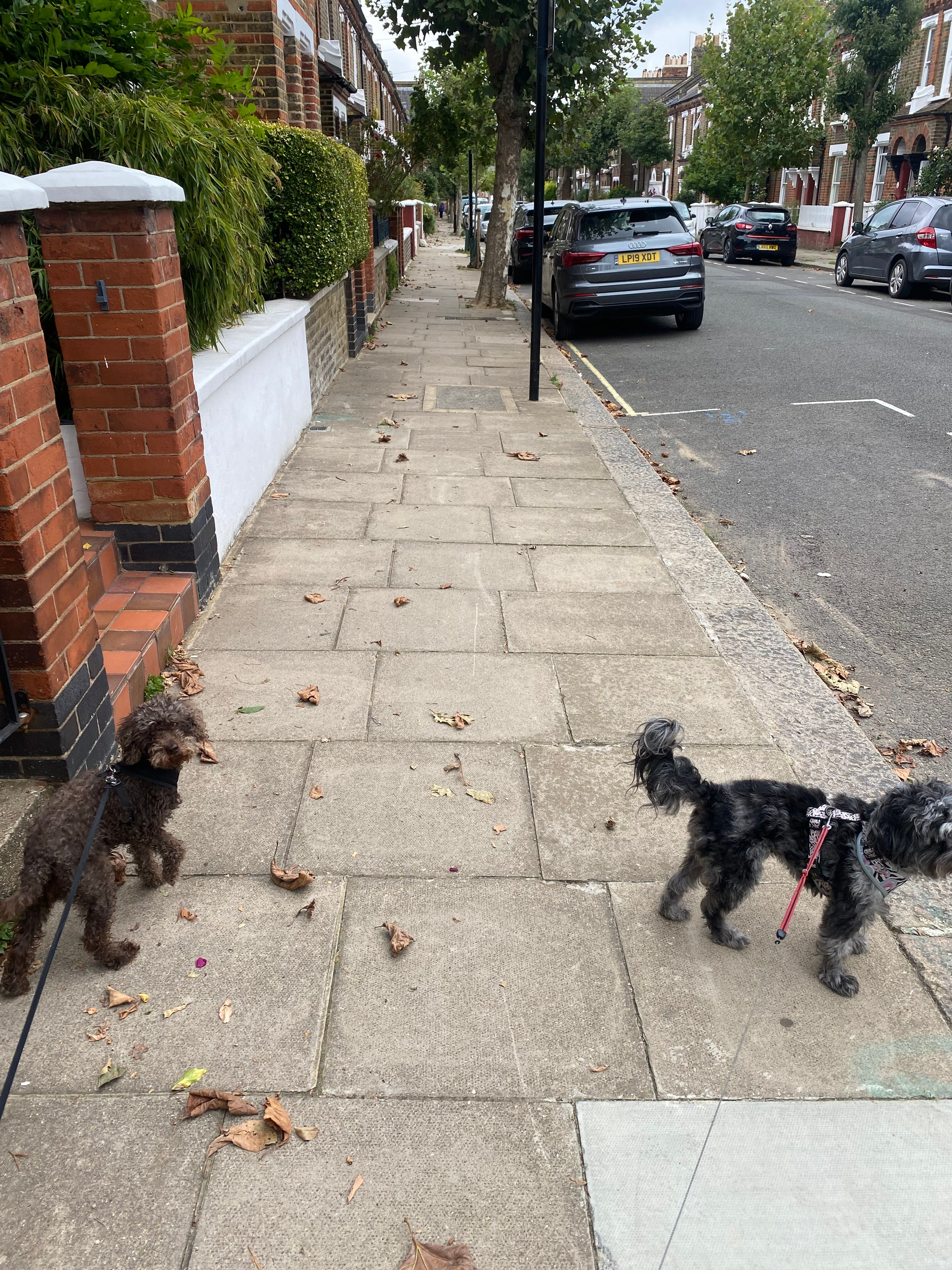 image-27