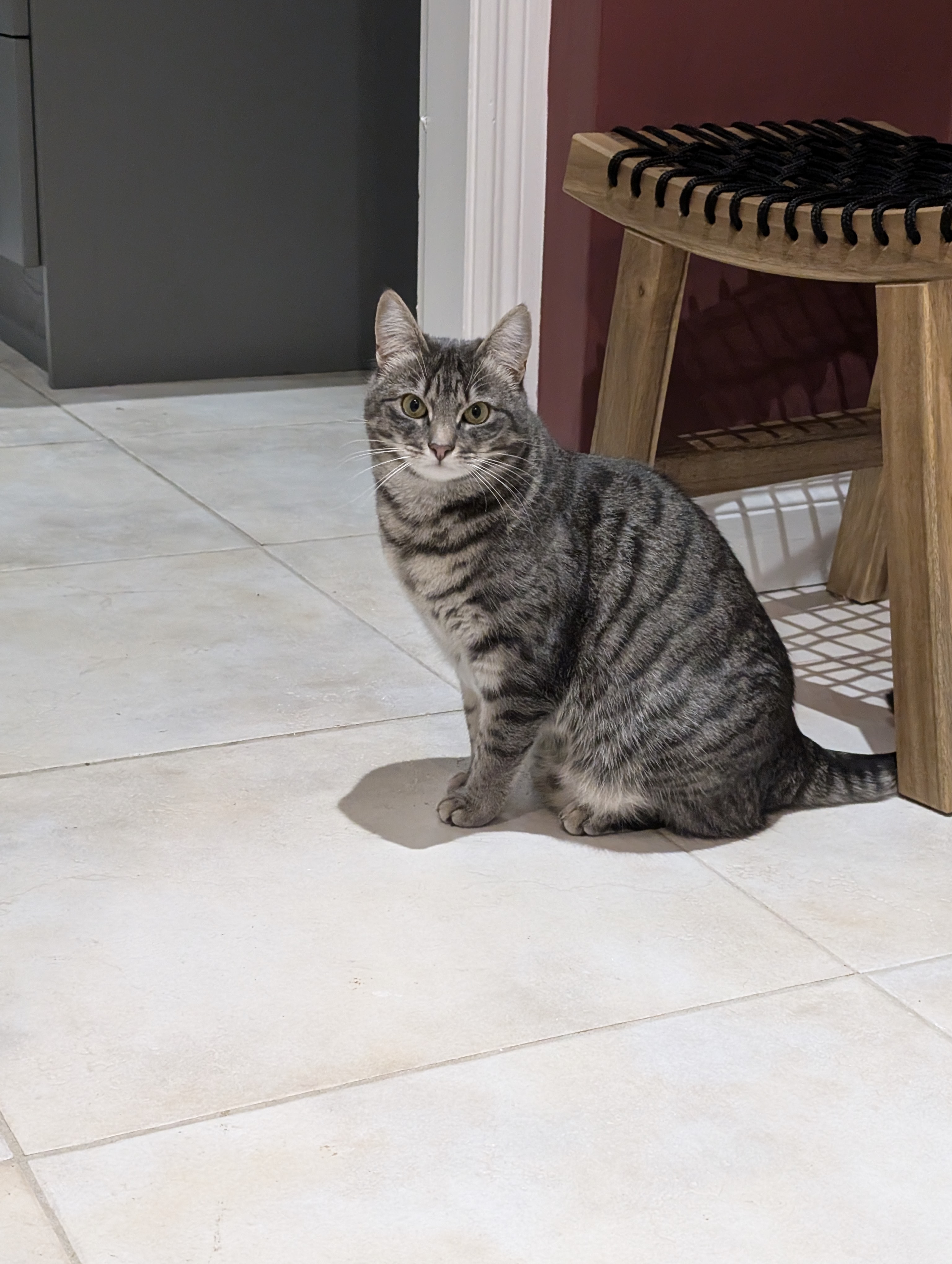 image-9