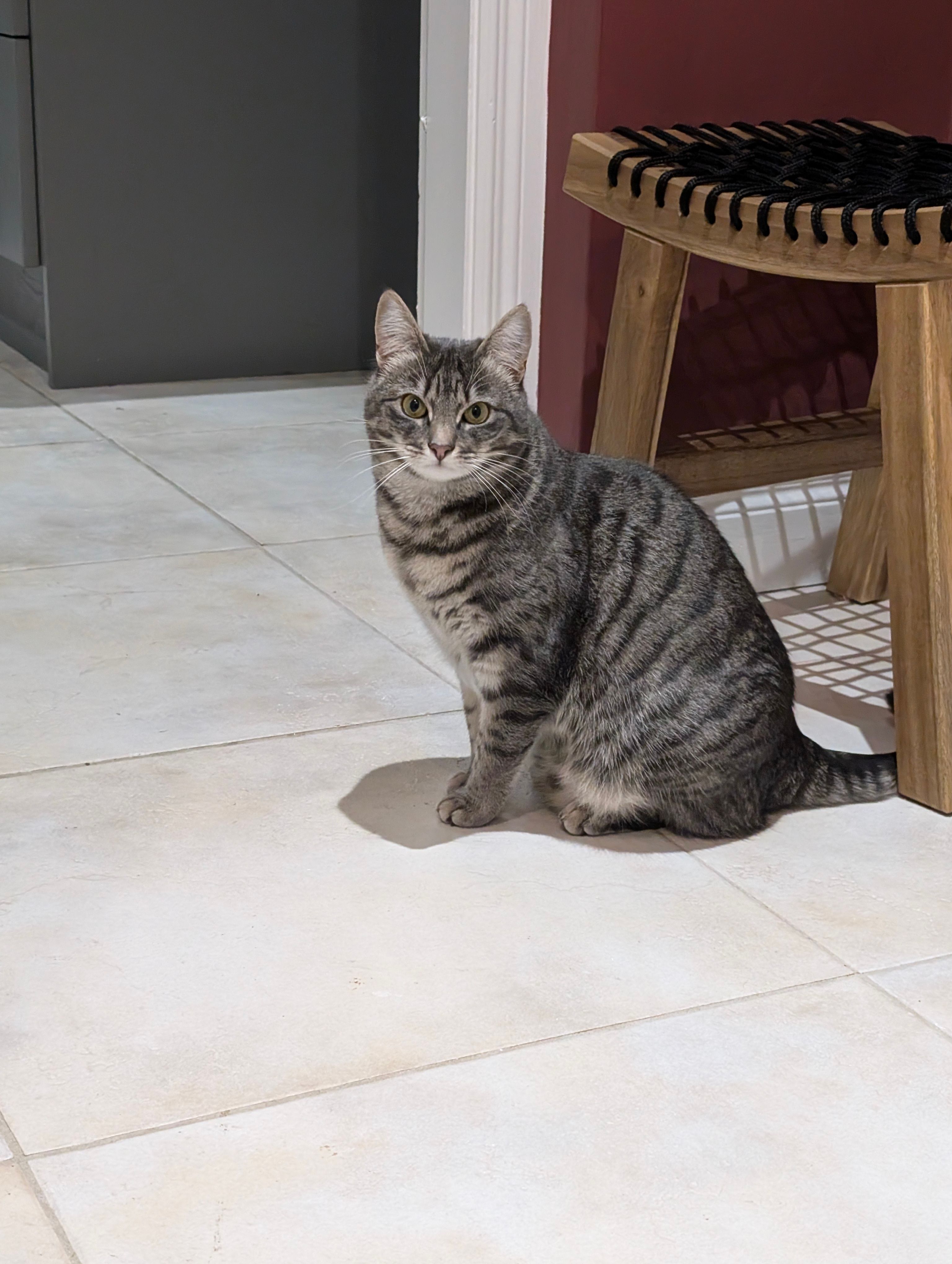 image-9