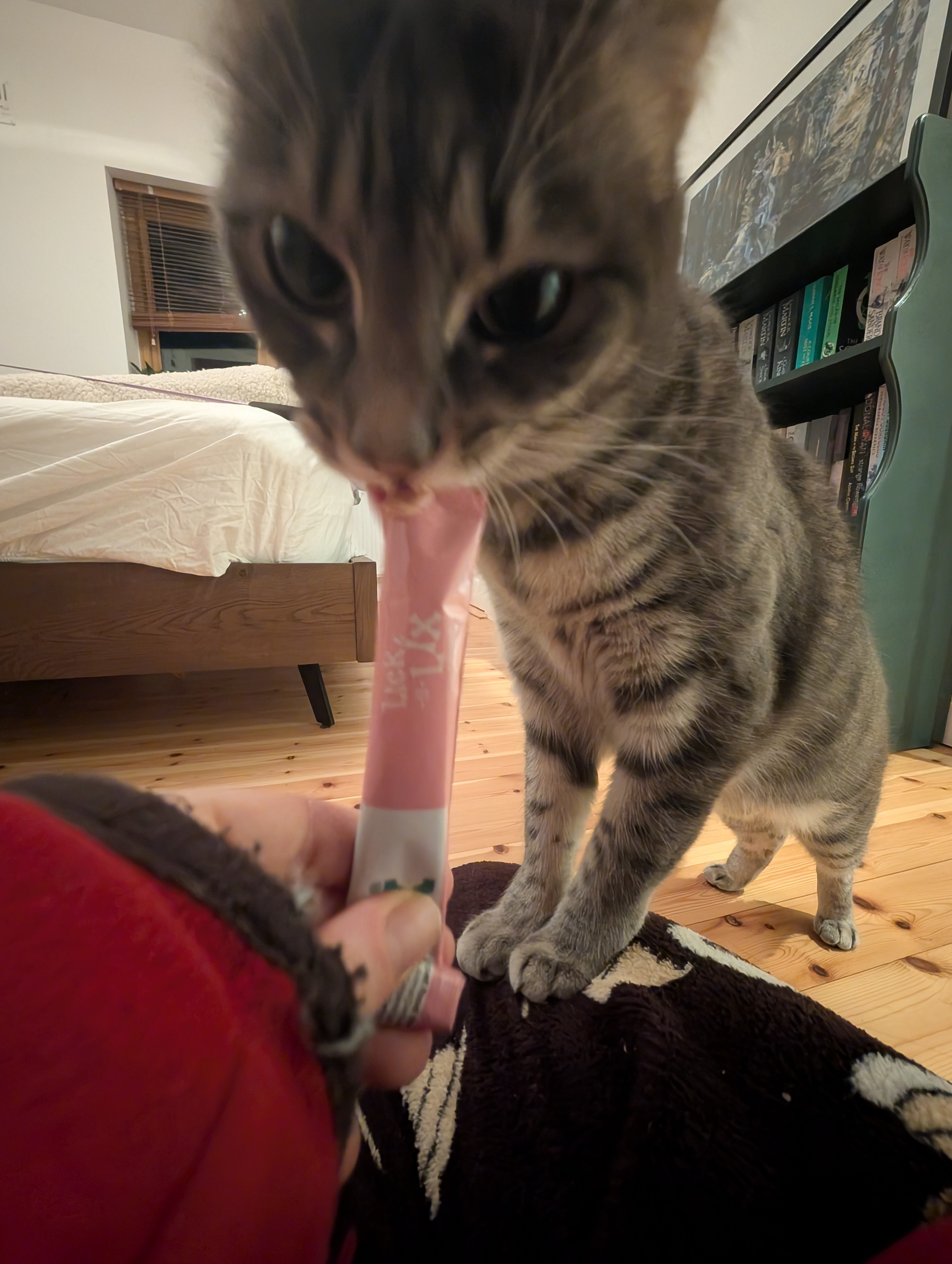 image-6