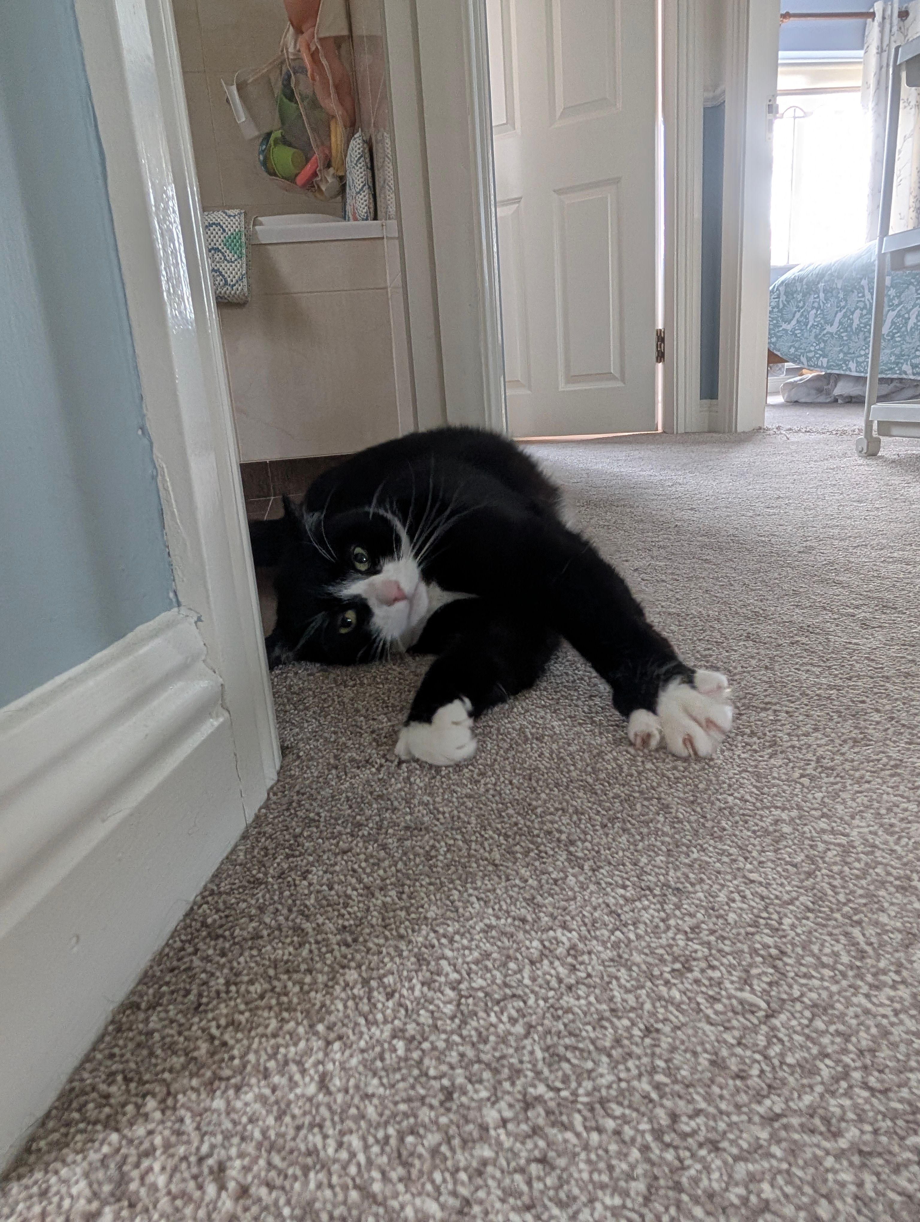 image-13