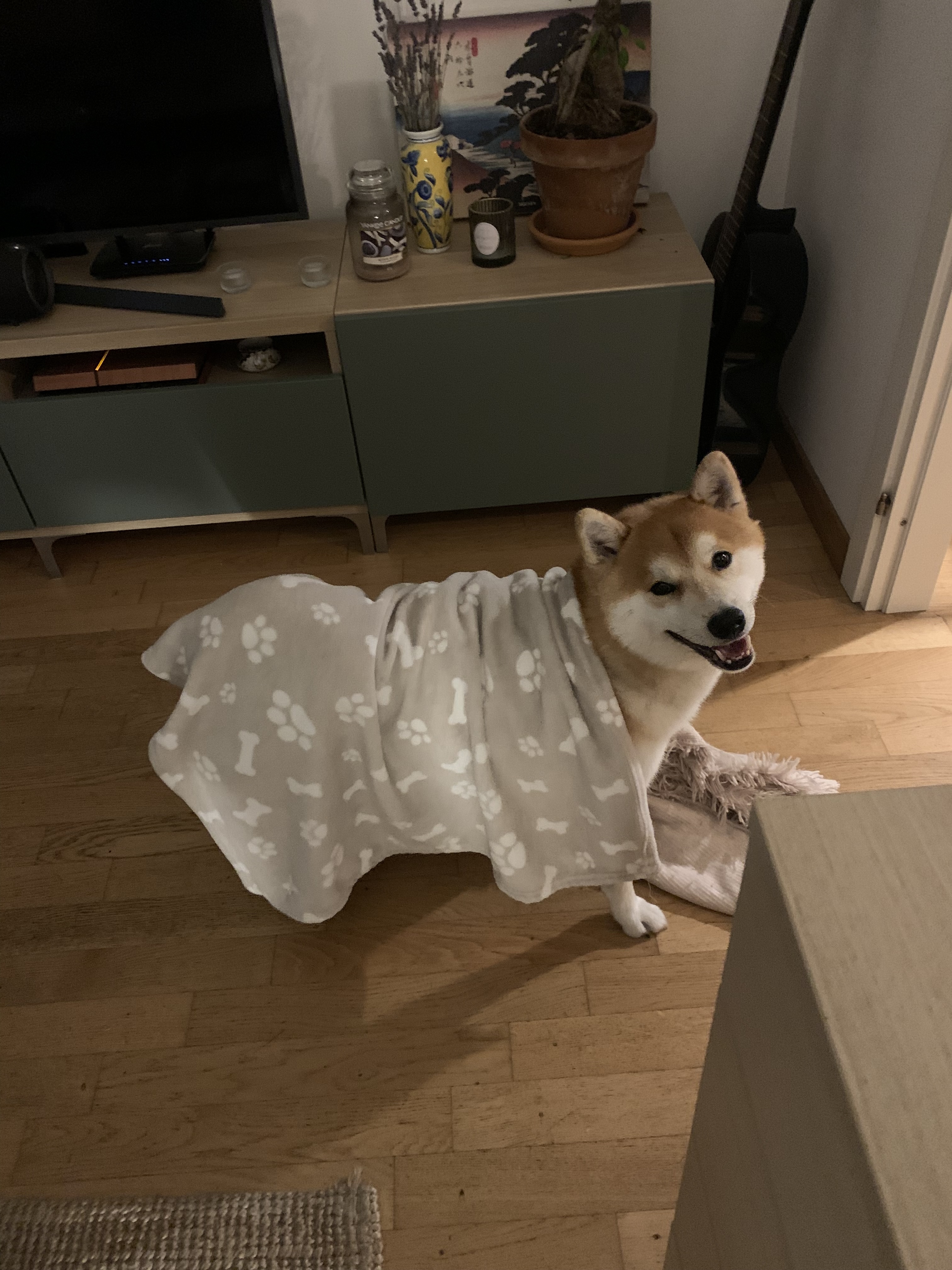 image-6