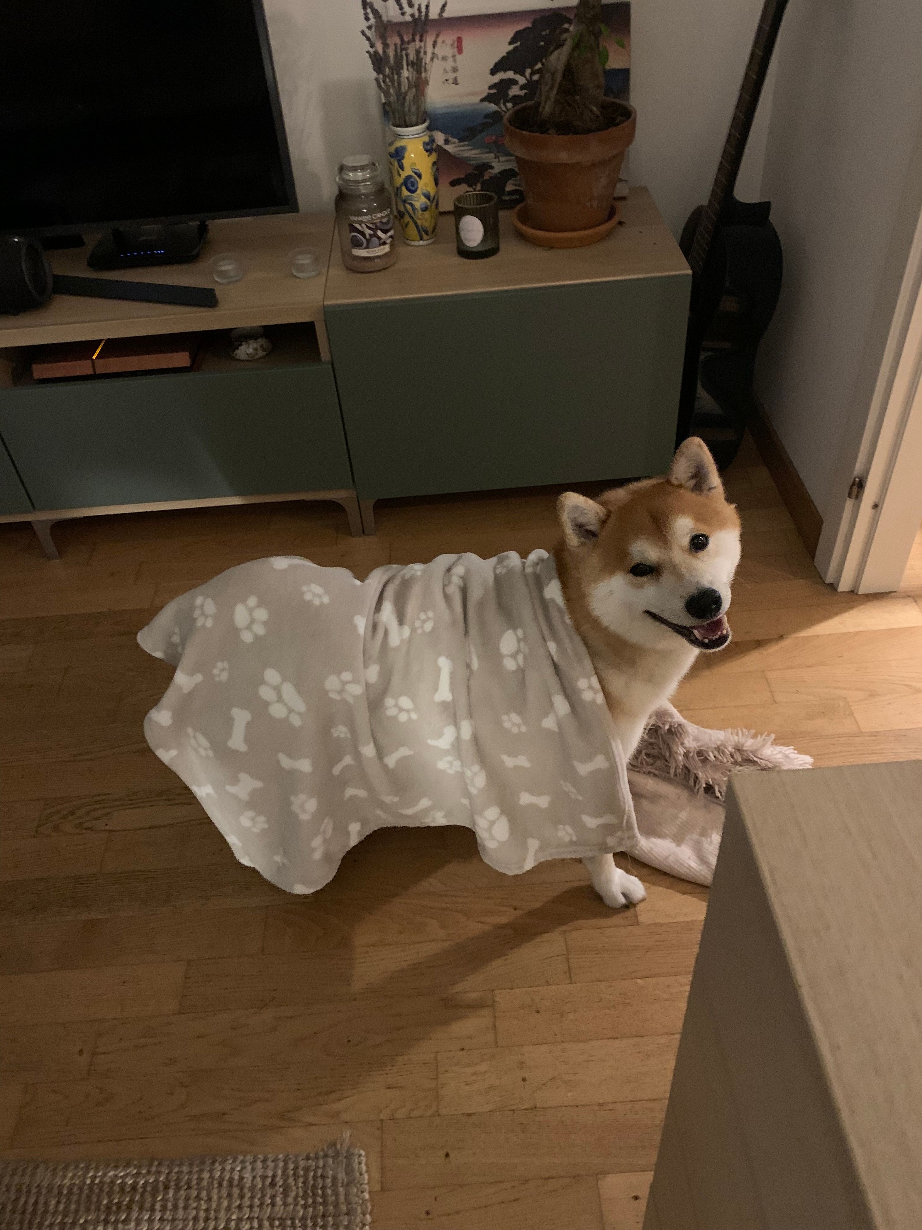 image-6