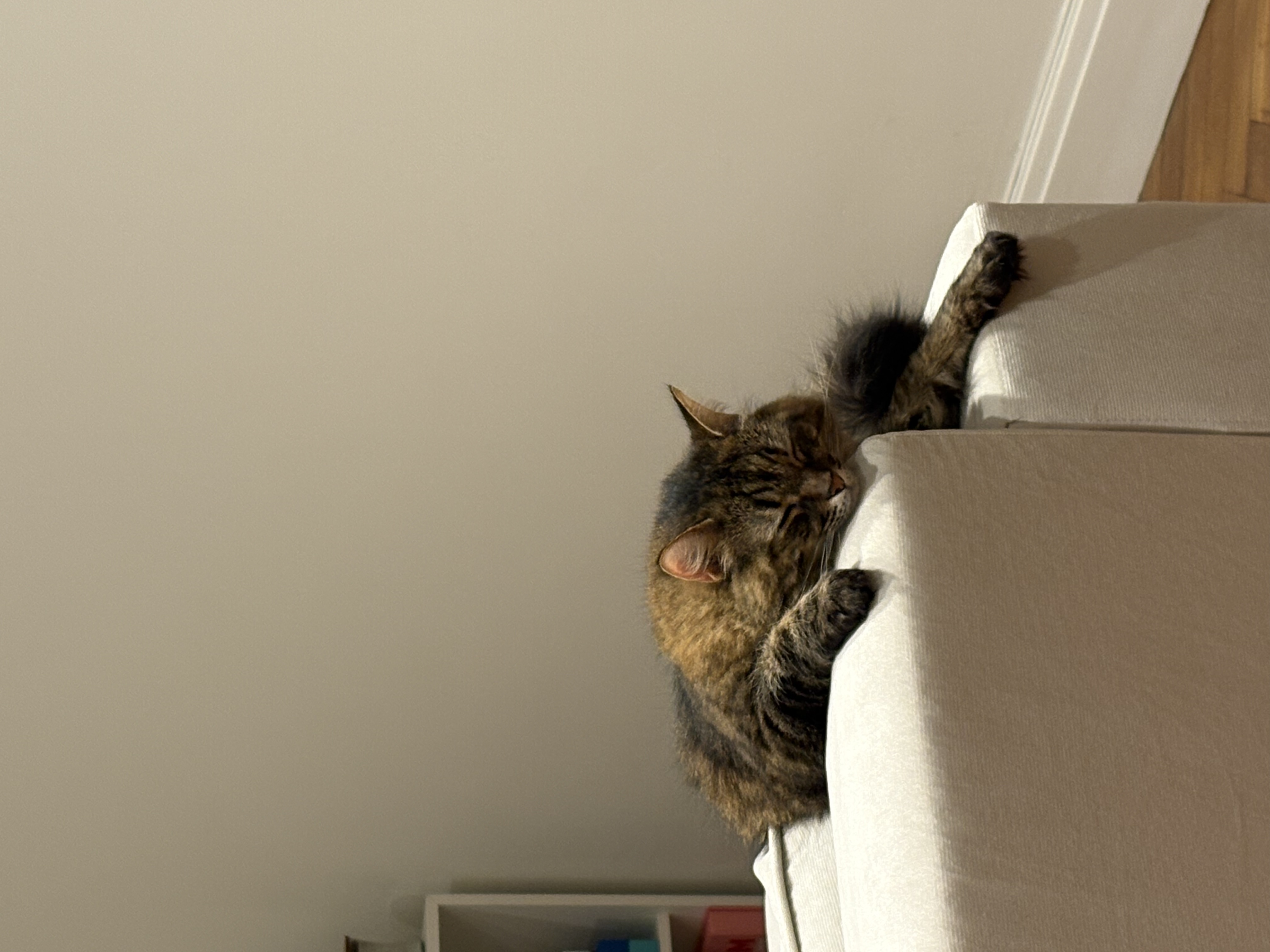 image-13