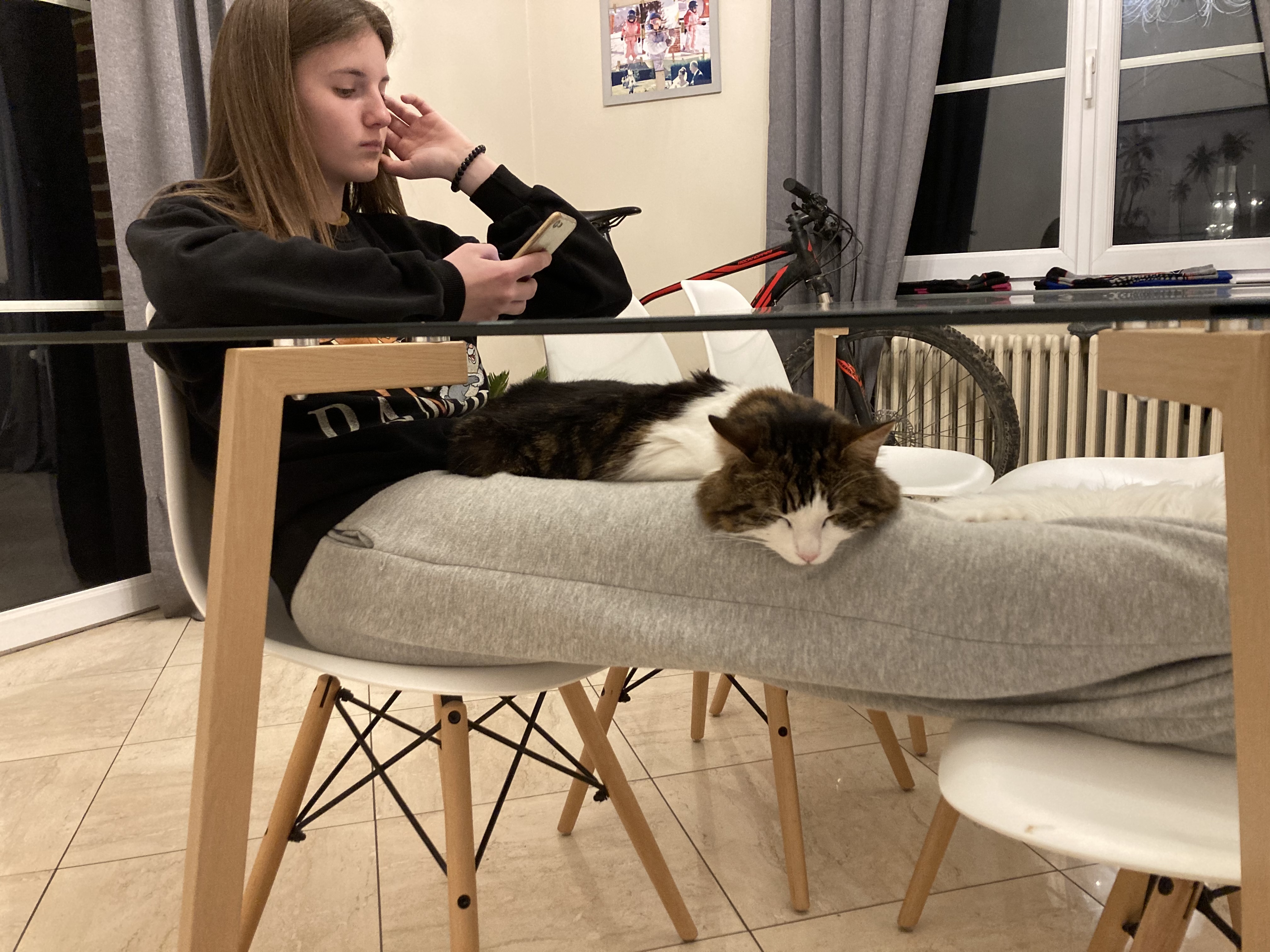image-20