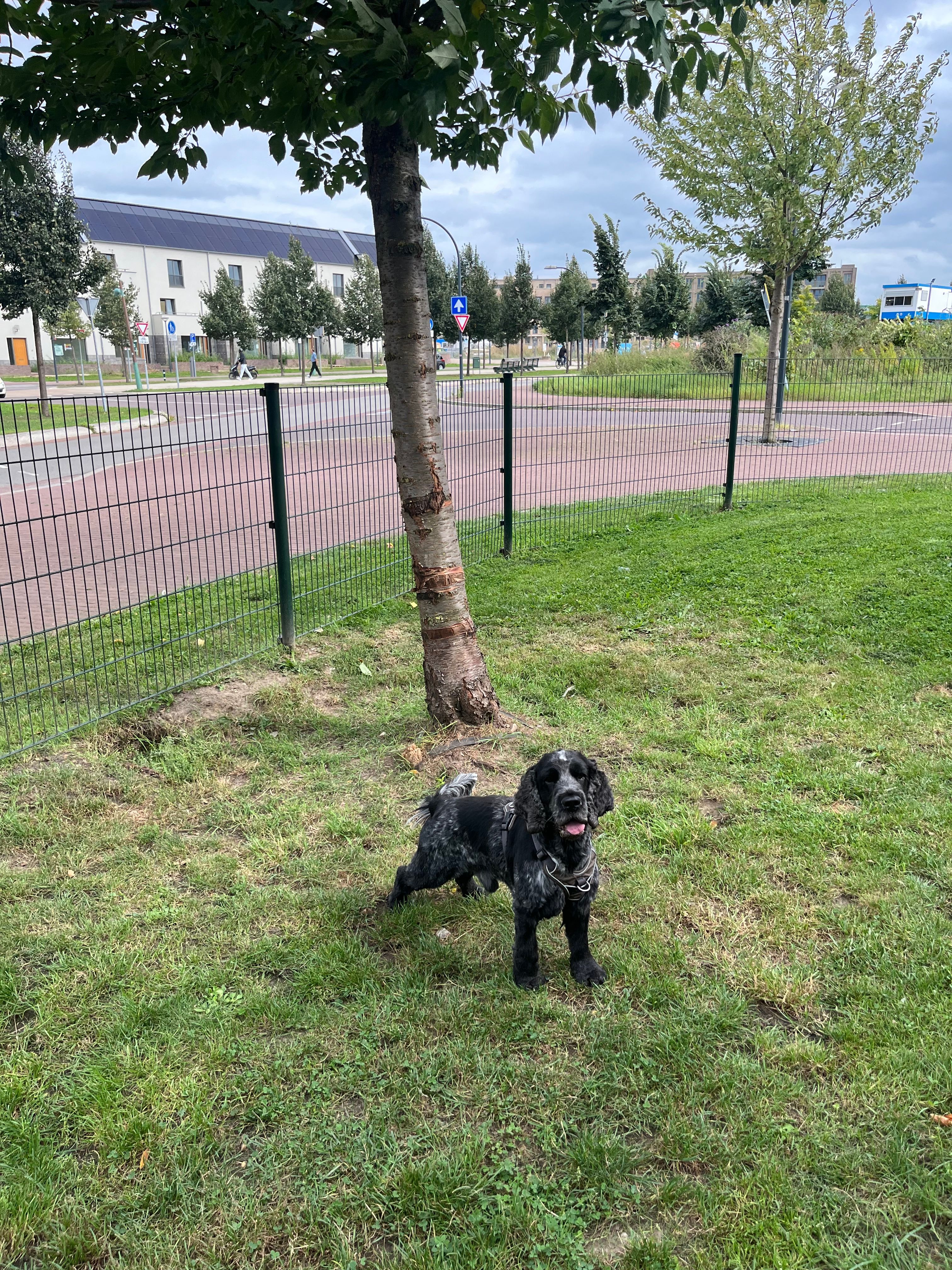 image-6