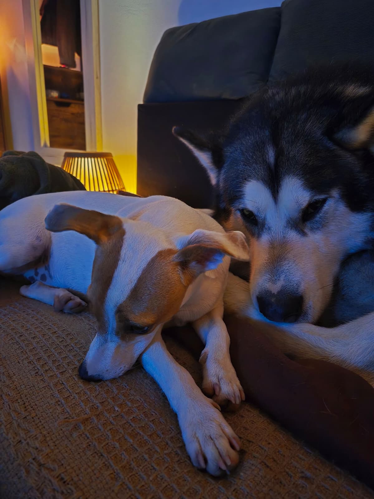 image-9