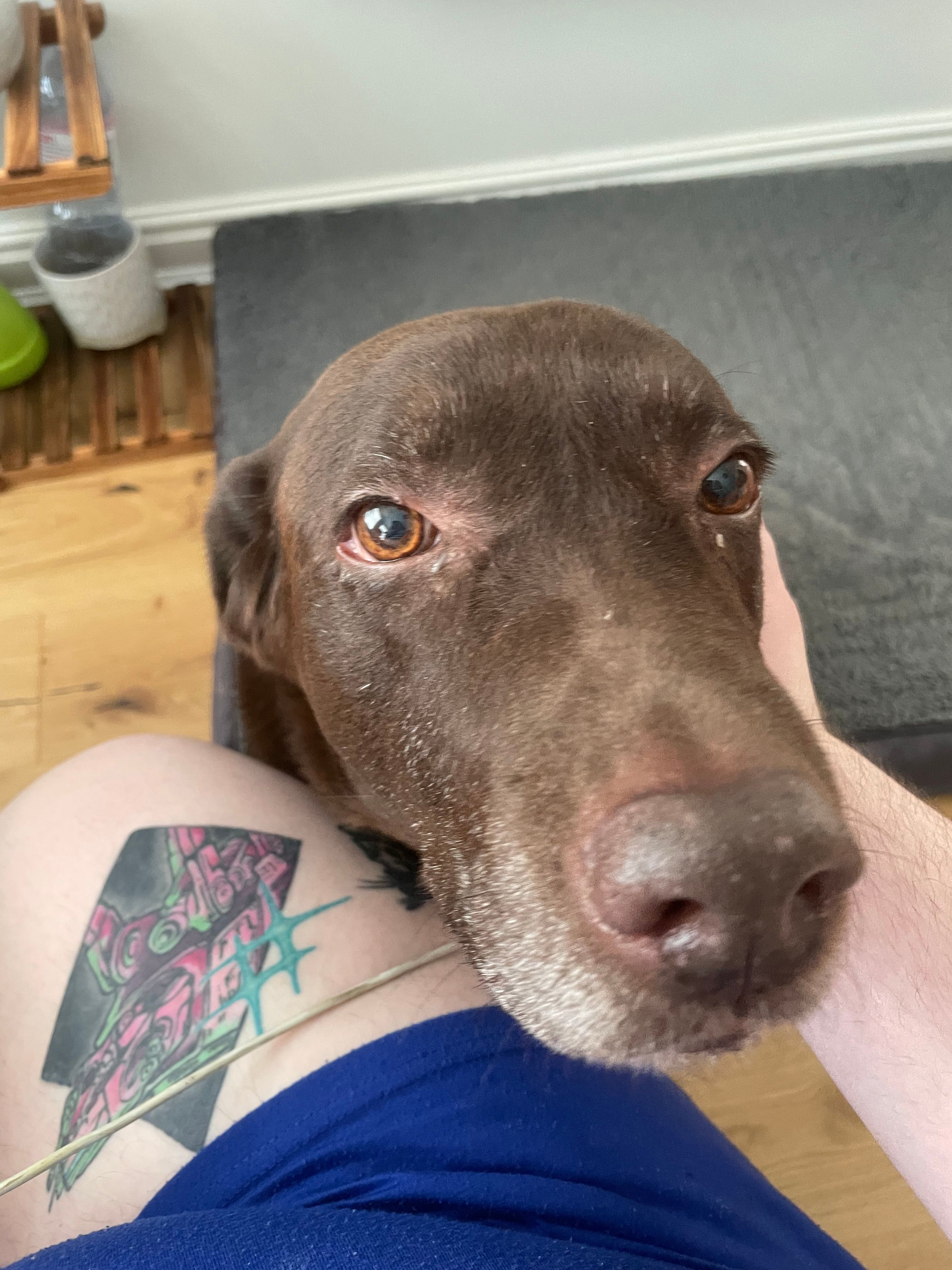 image-7