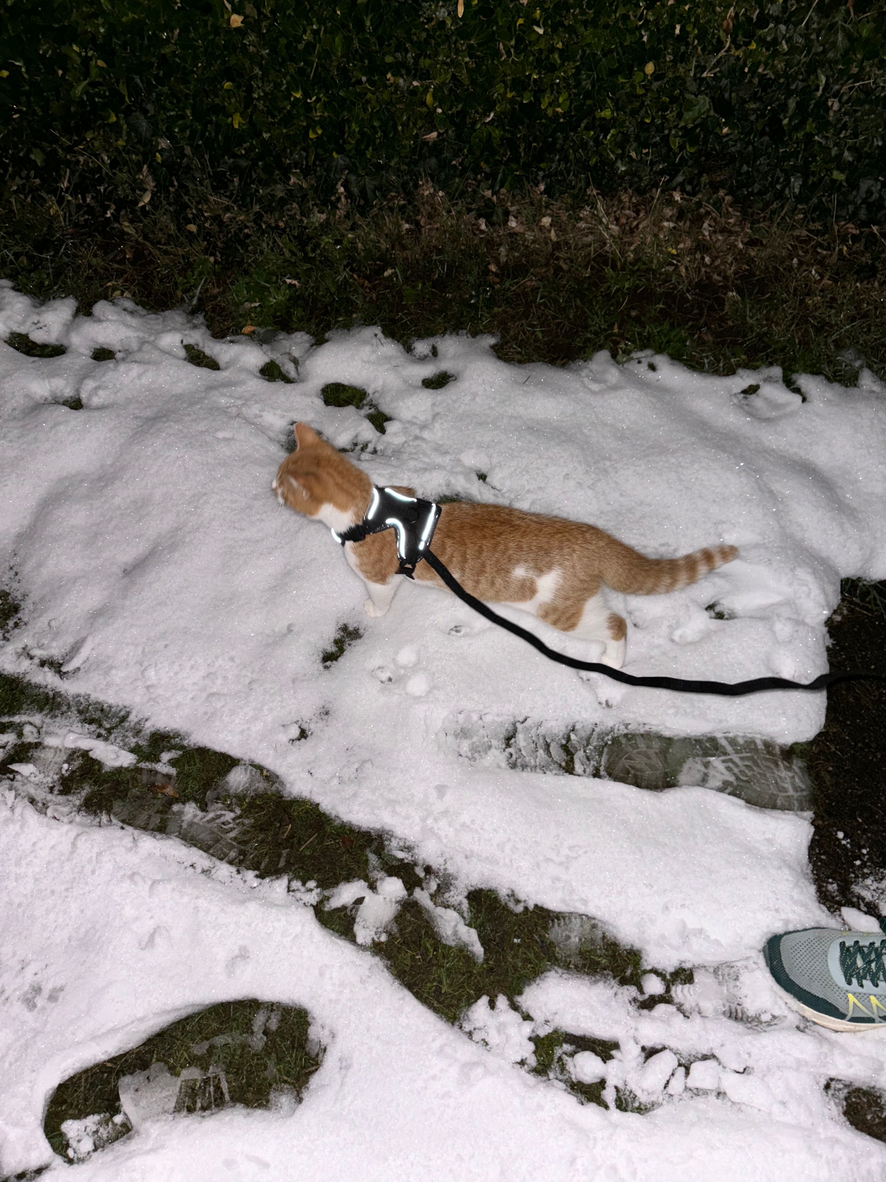 image-6