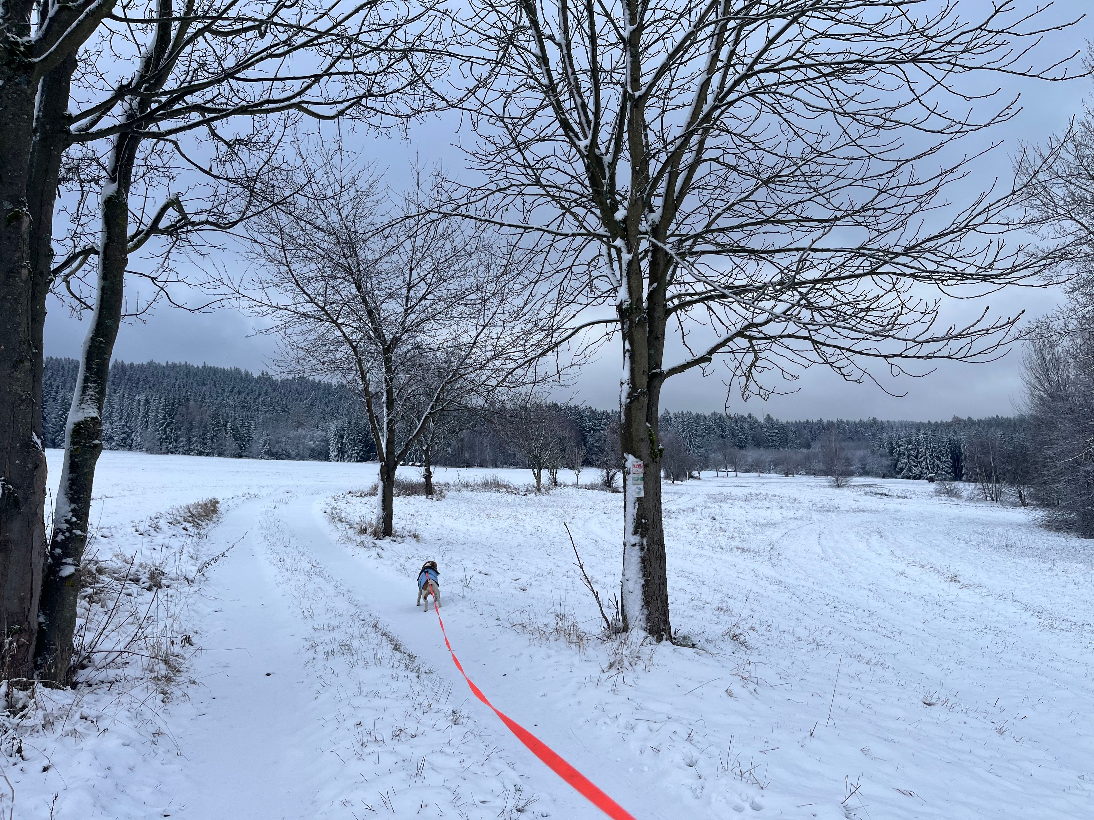 image-16