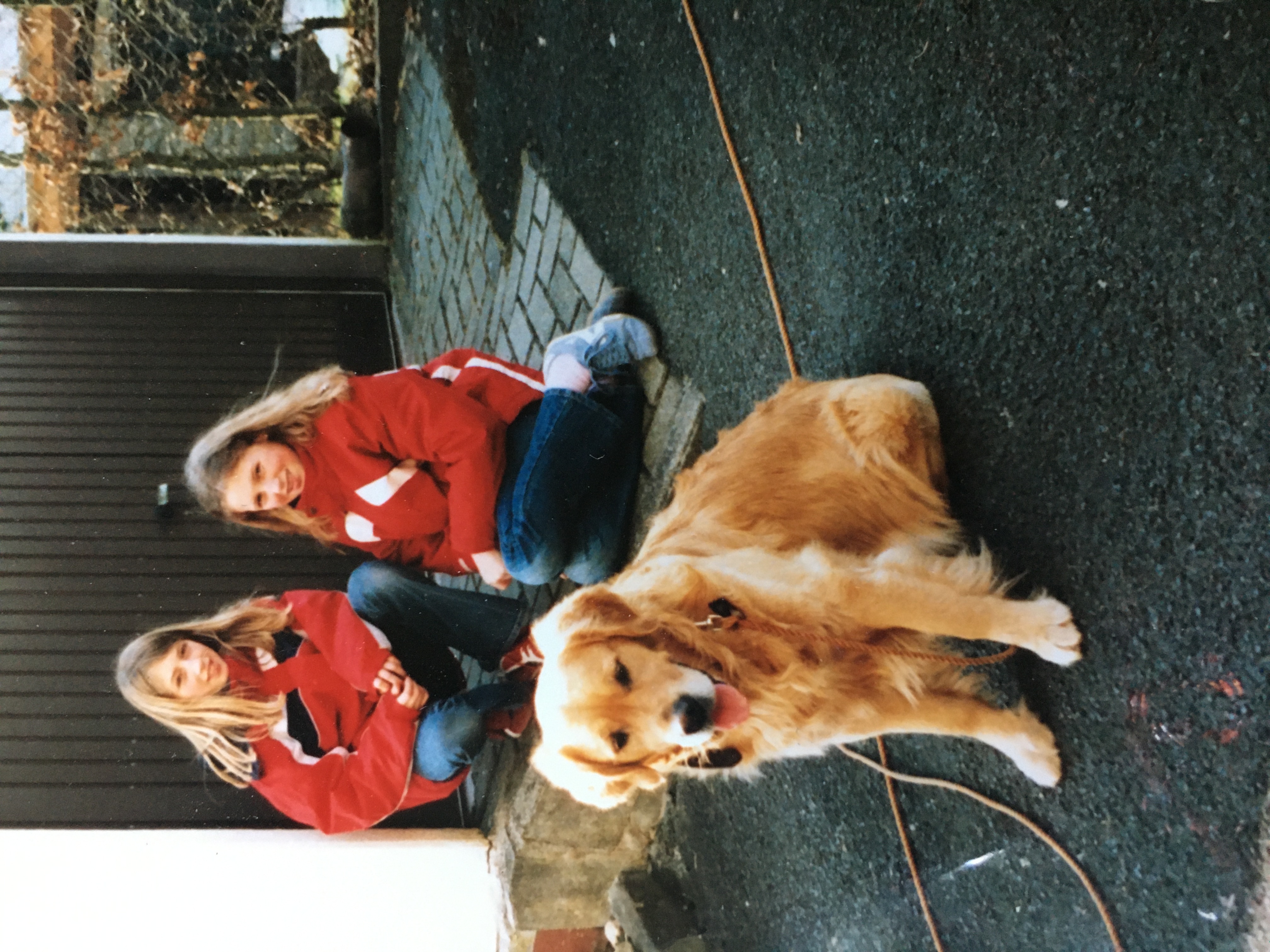 image-2
