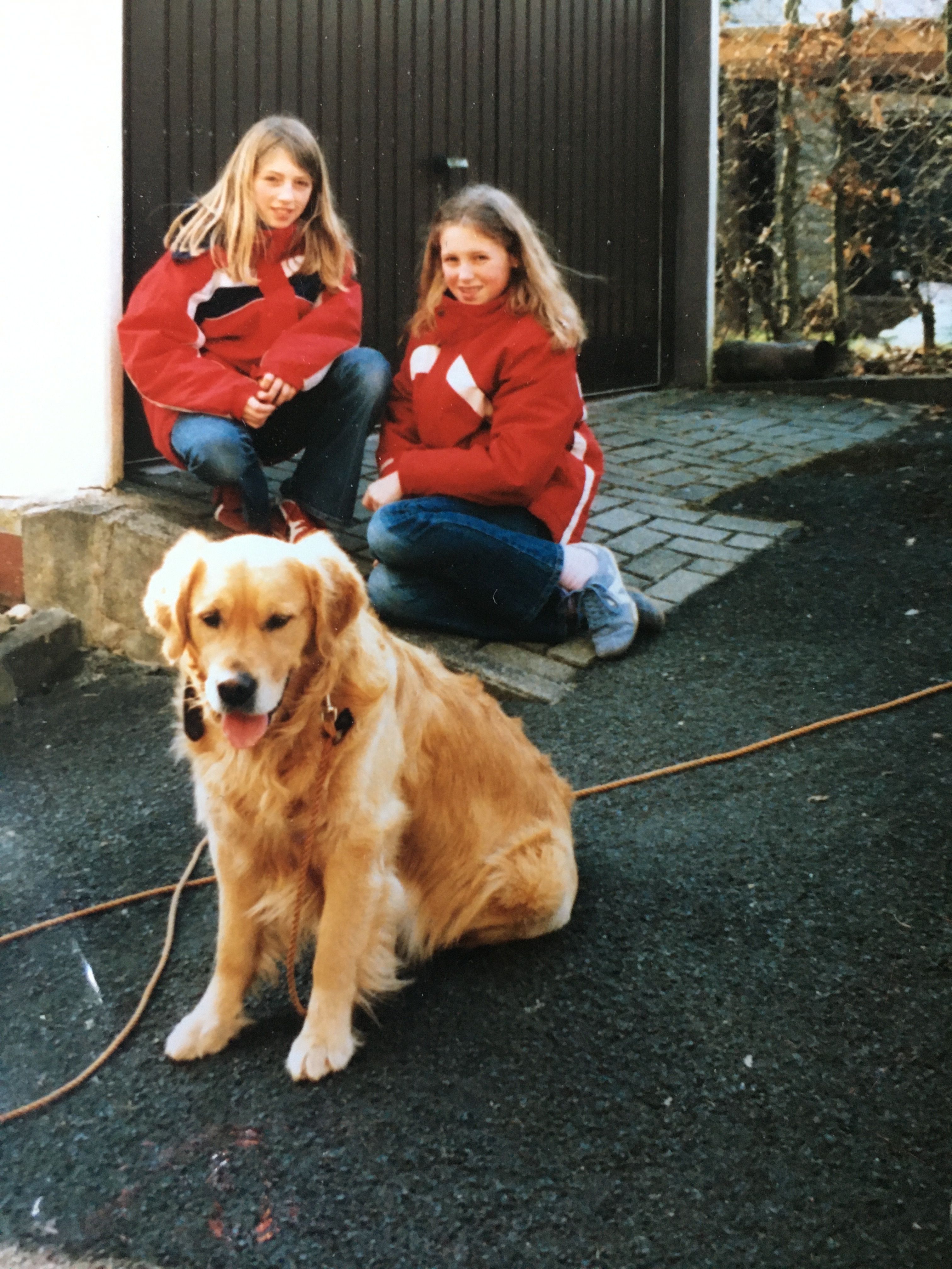 image-2