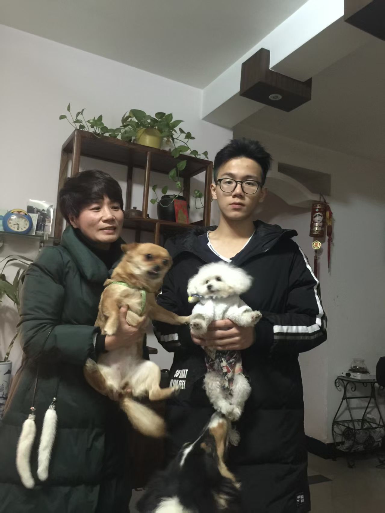 image-6
