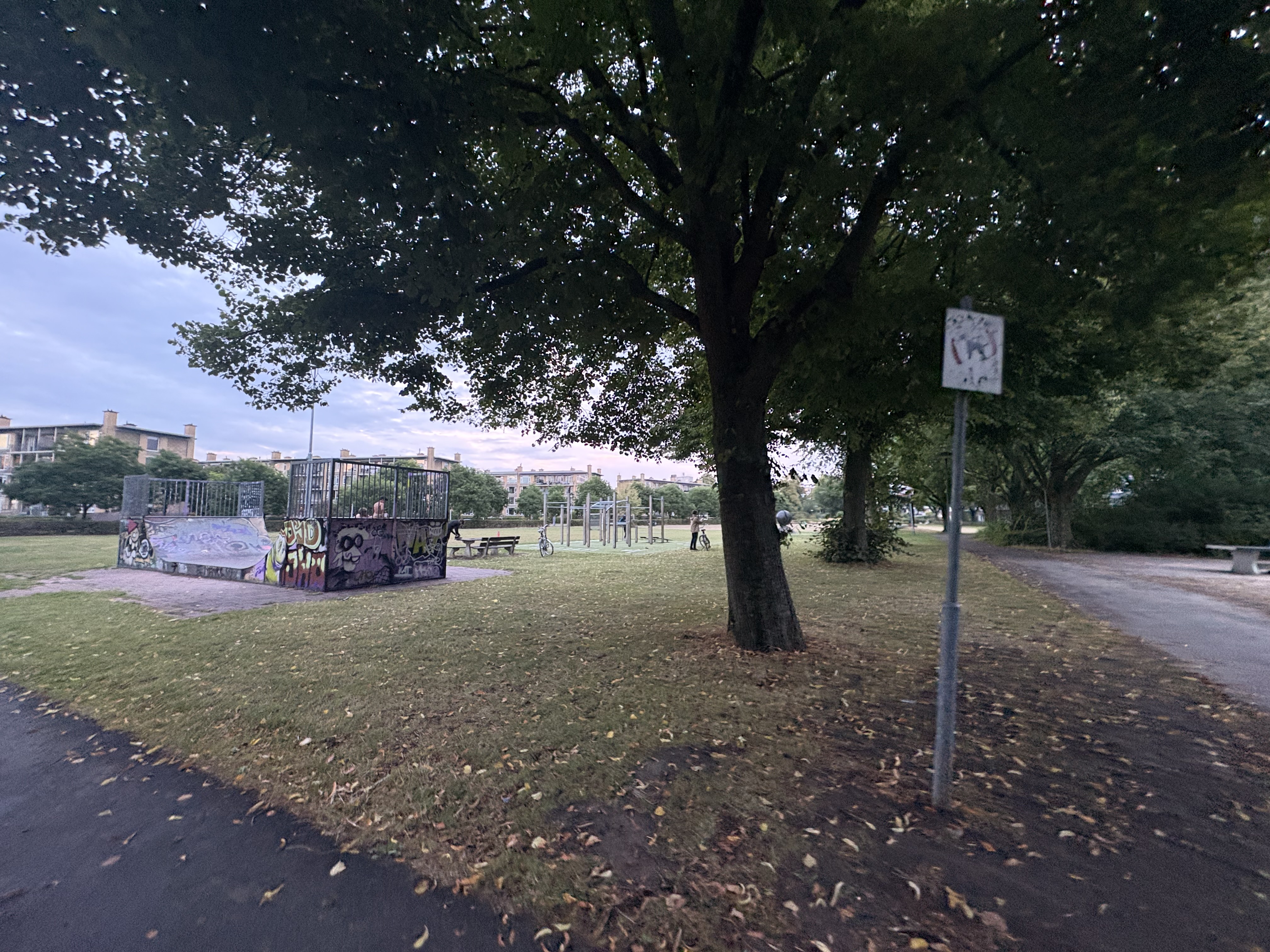image-13