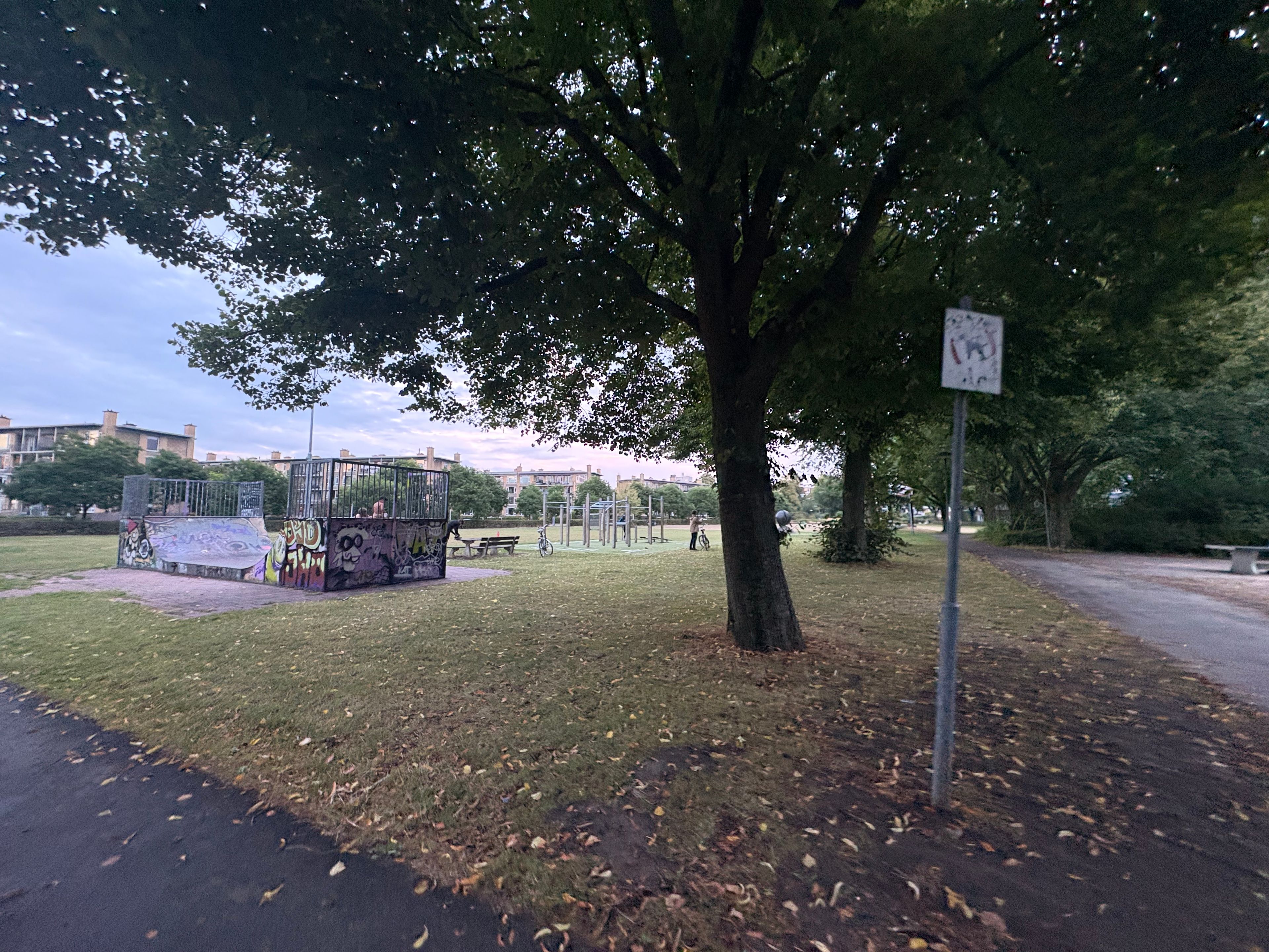 image-13