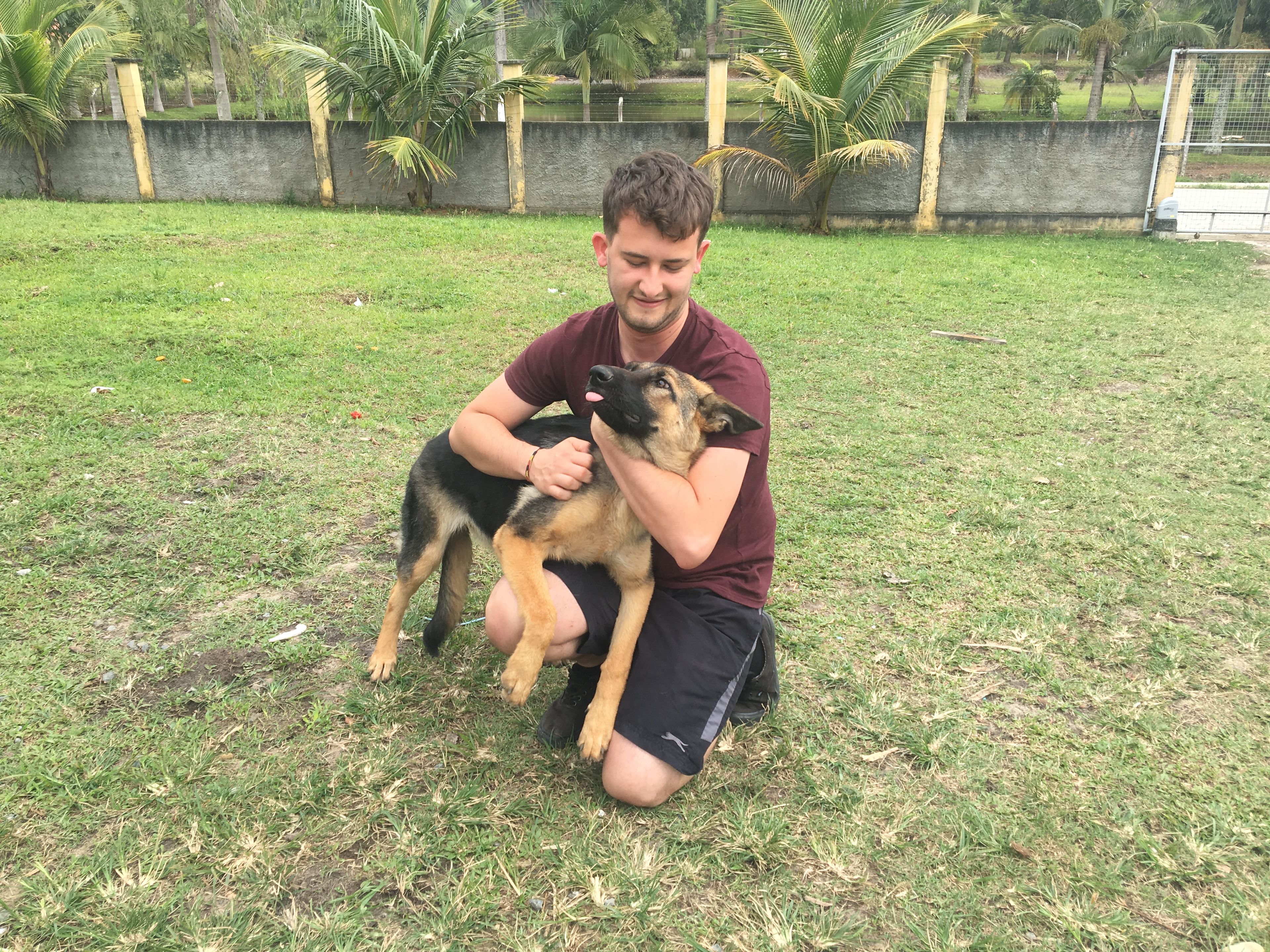 image-10
