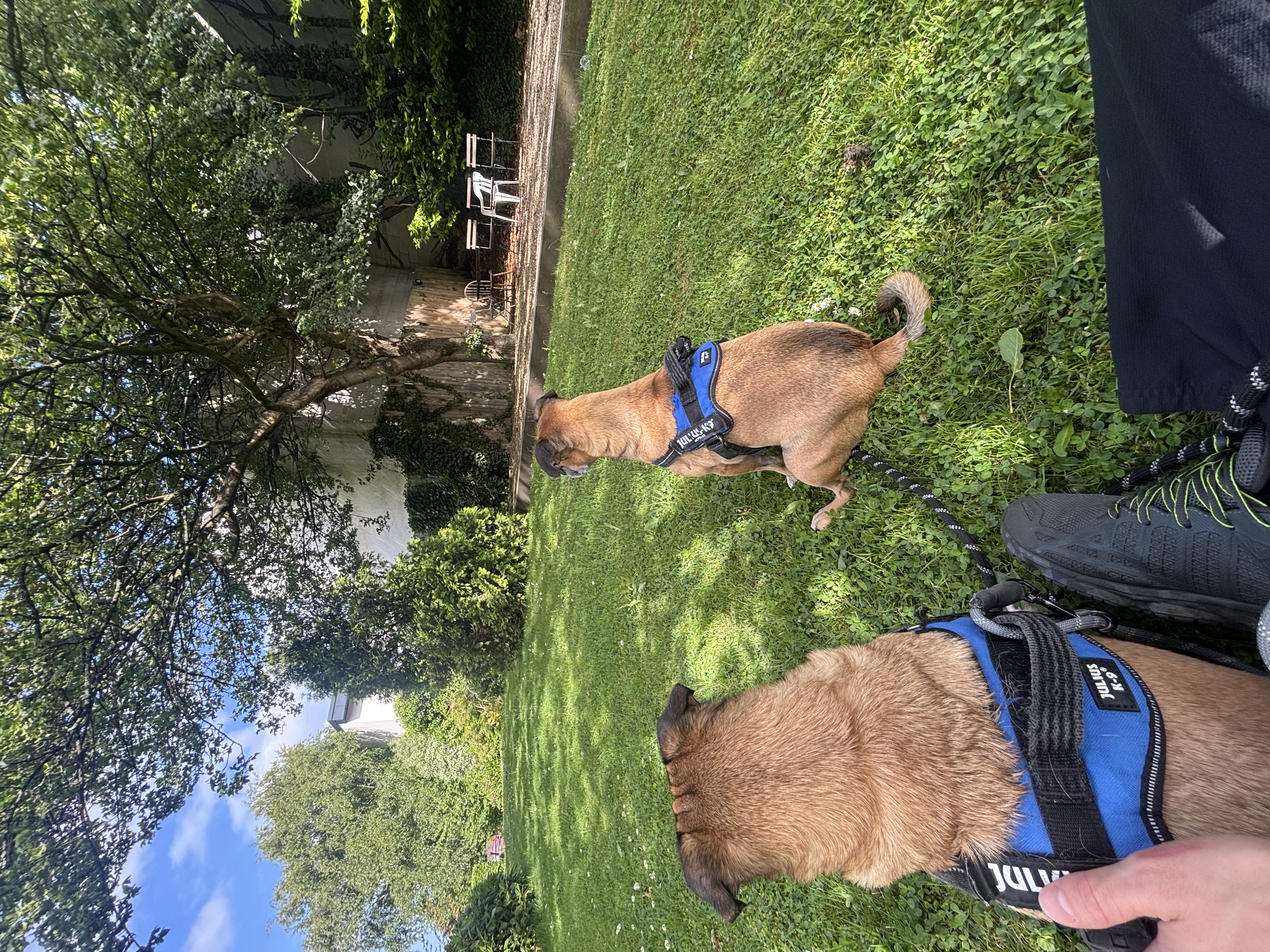 image-11