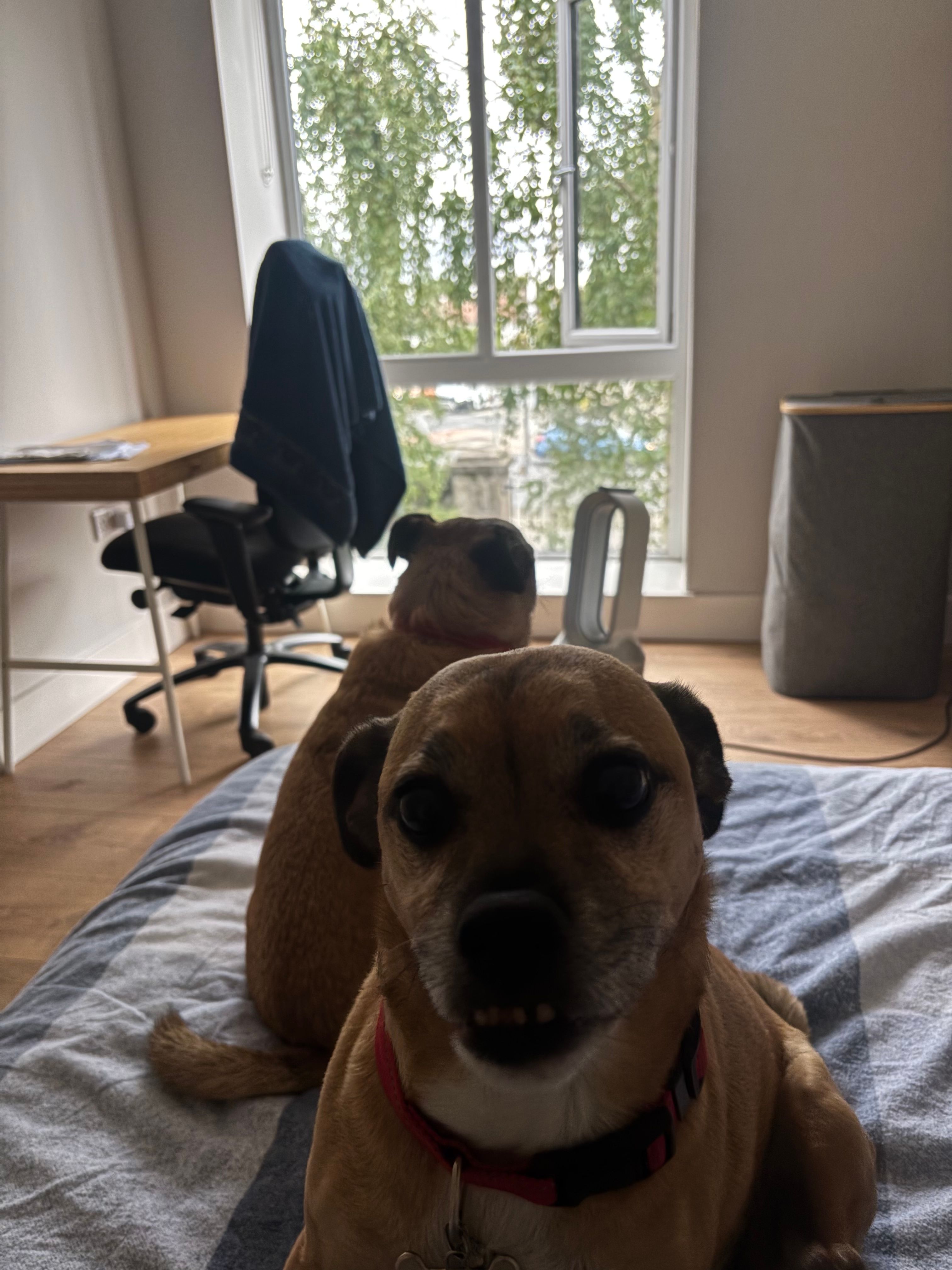 image-26