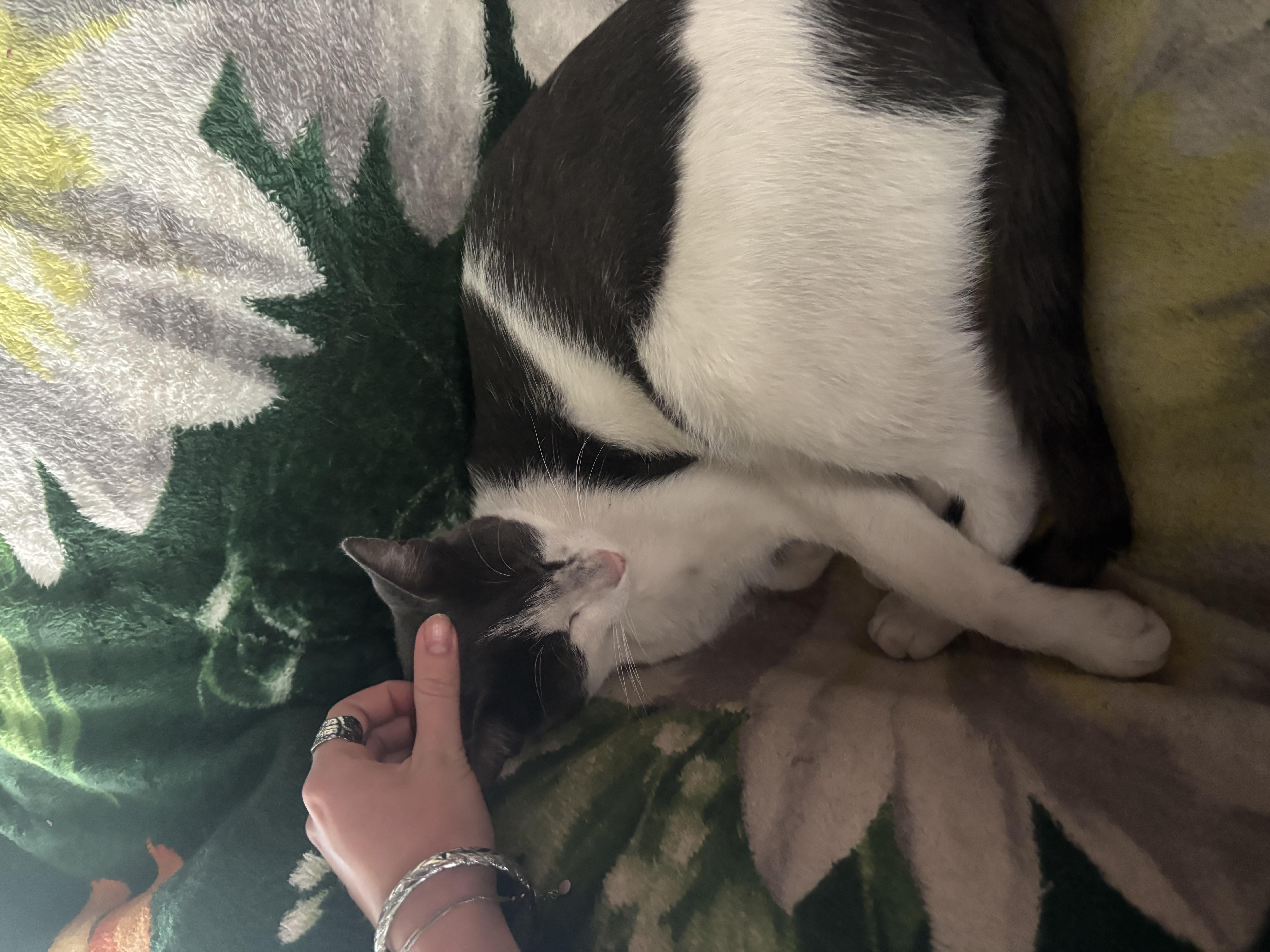image-8