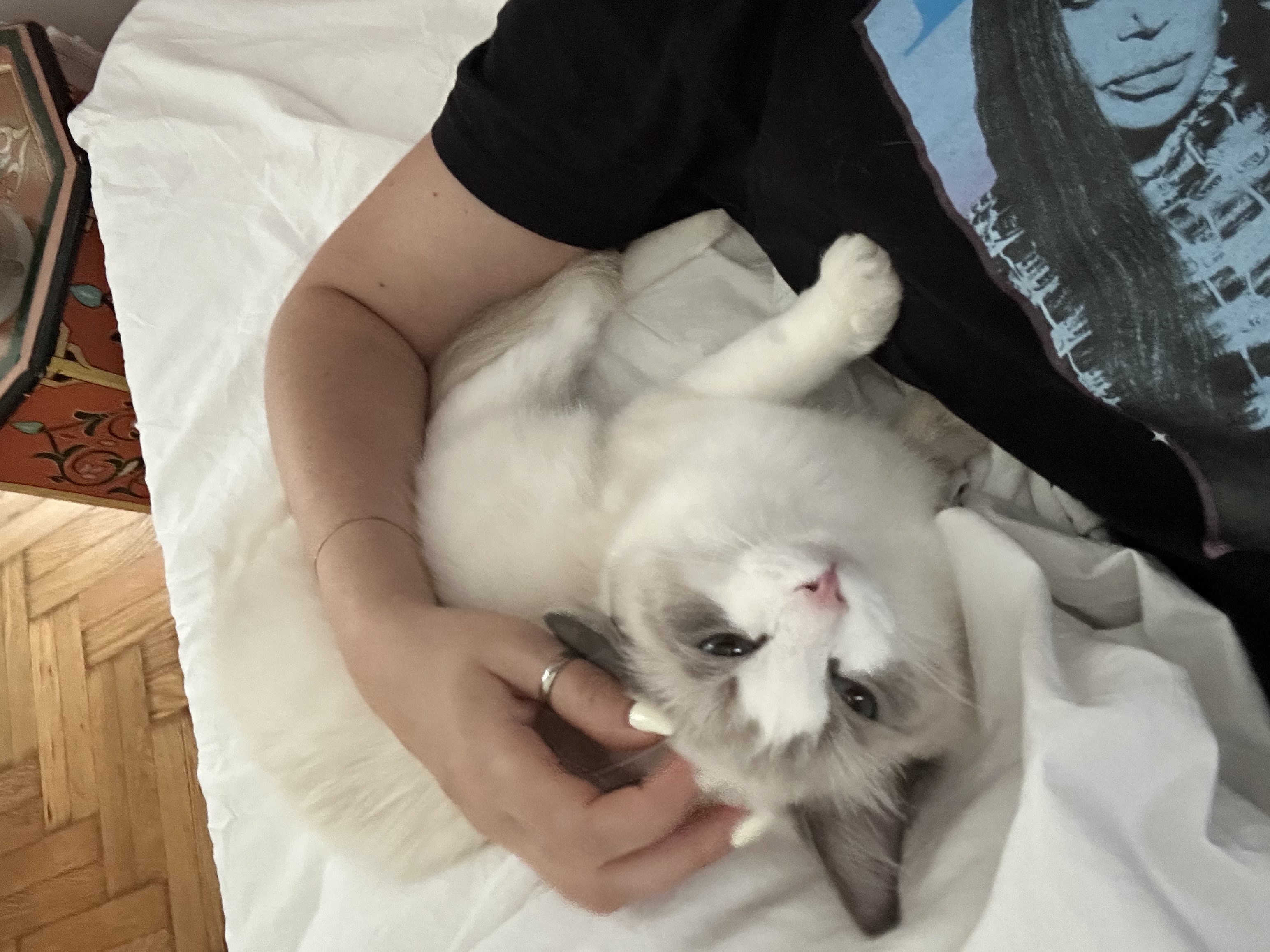 image-6