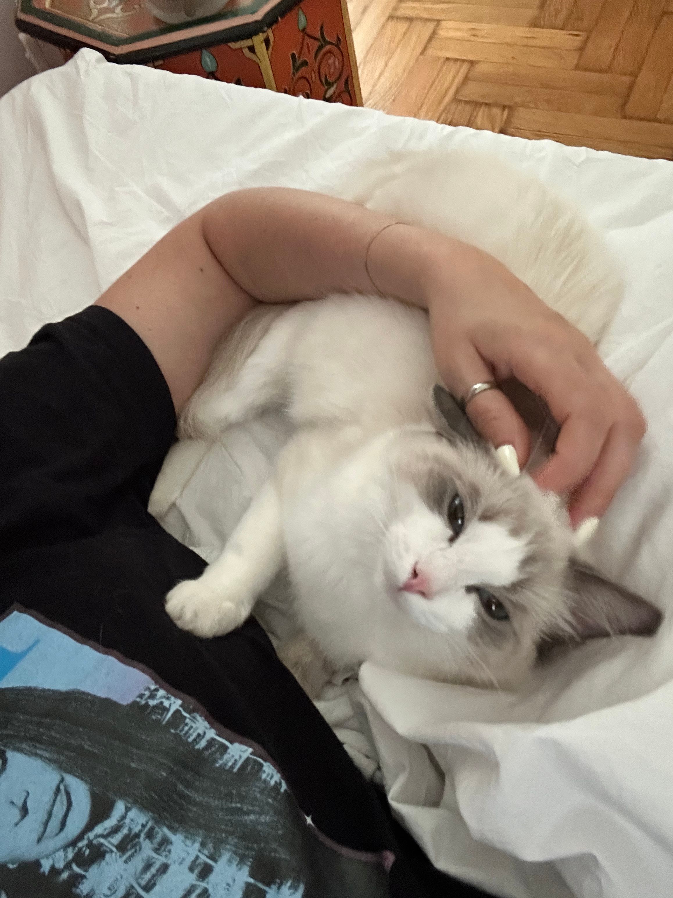 image-6