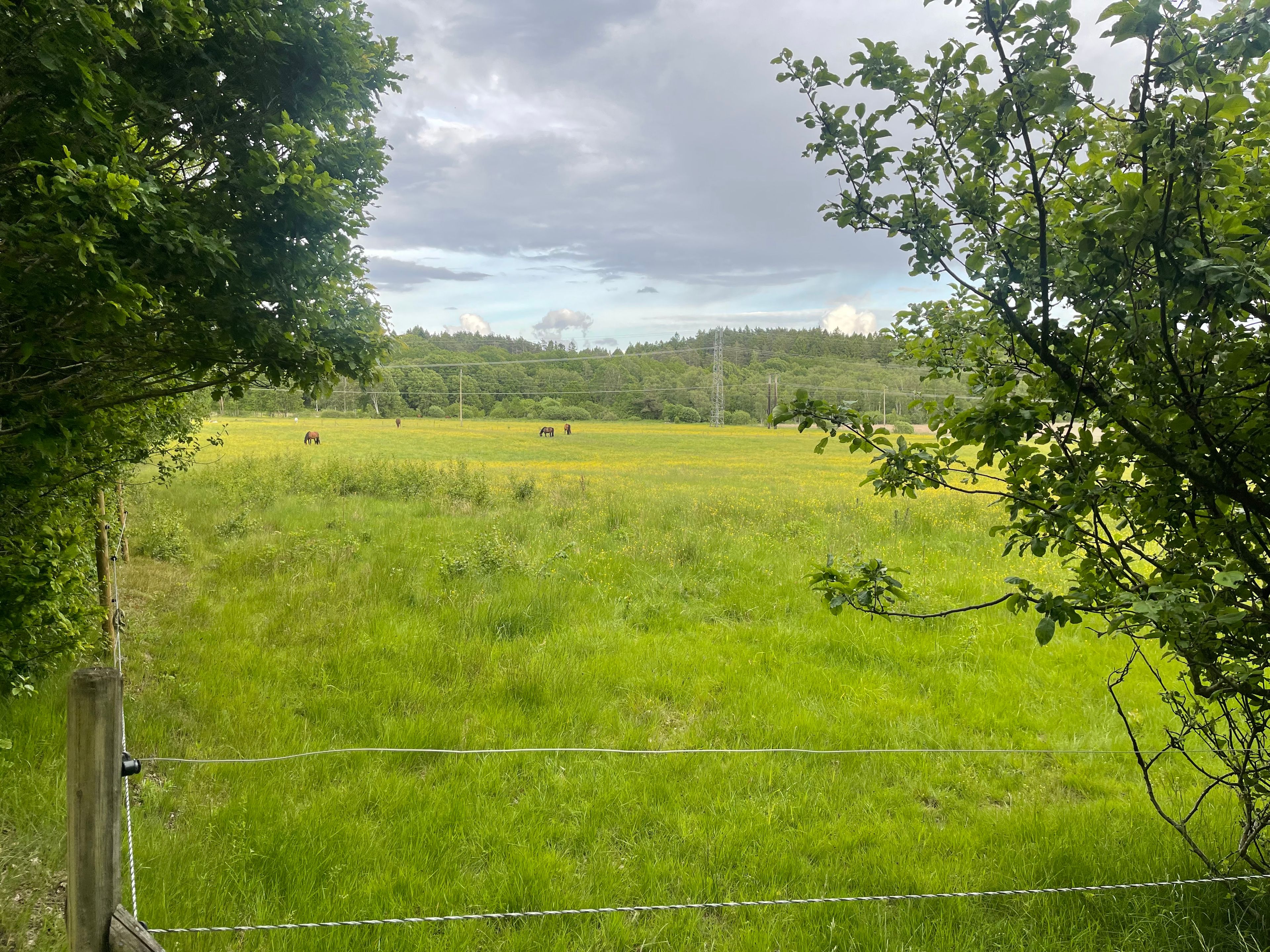 image-13