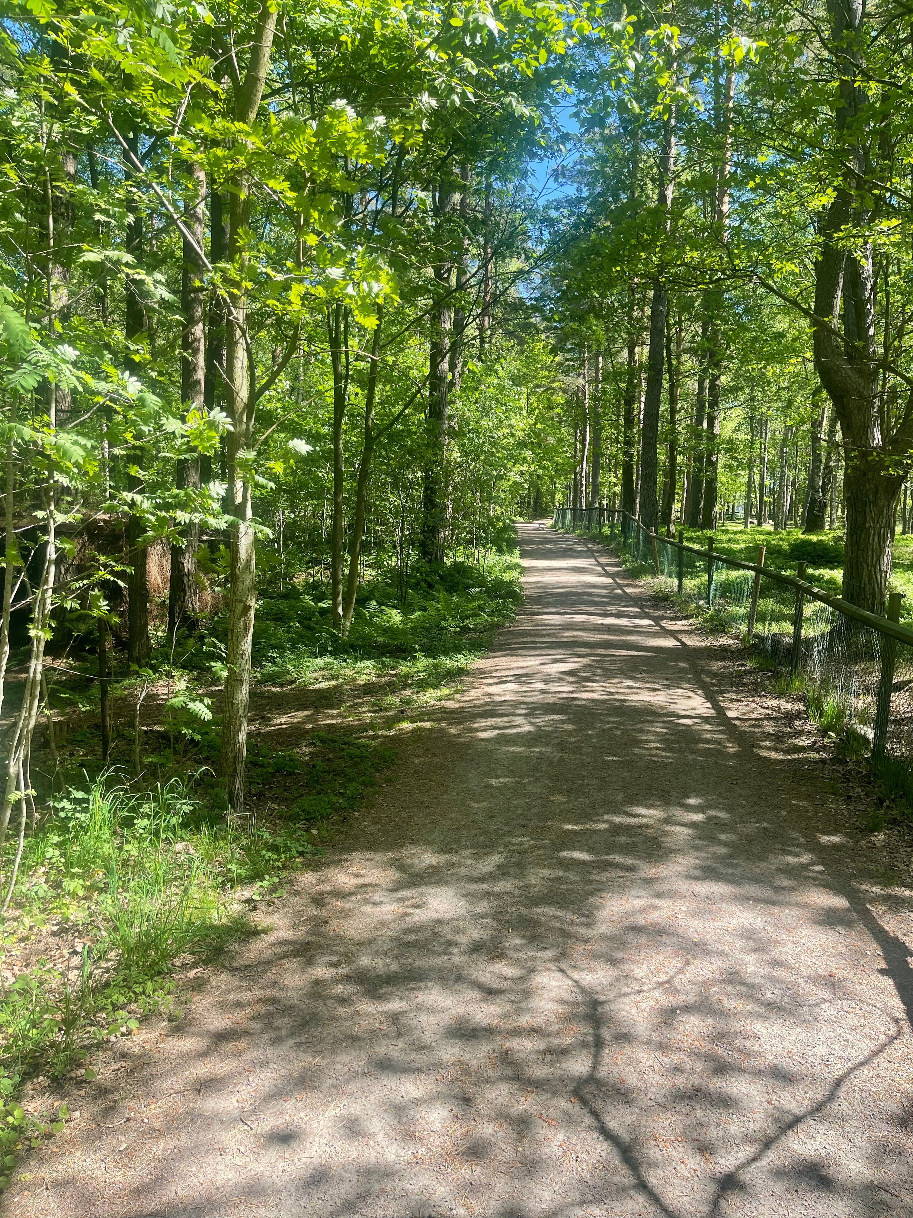 image-14