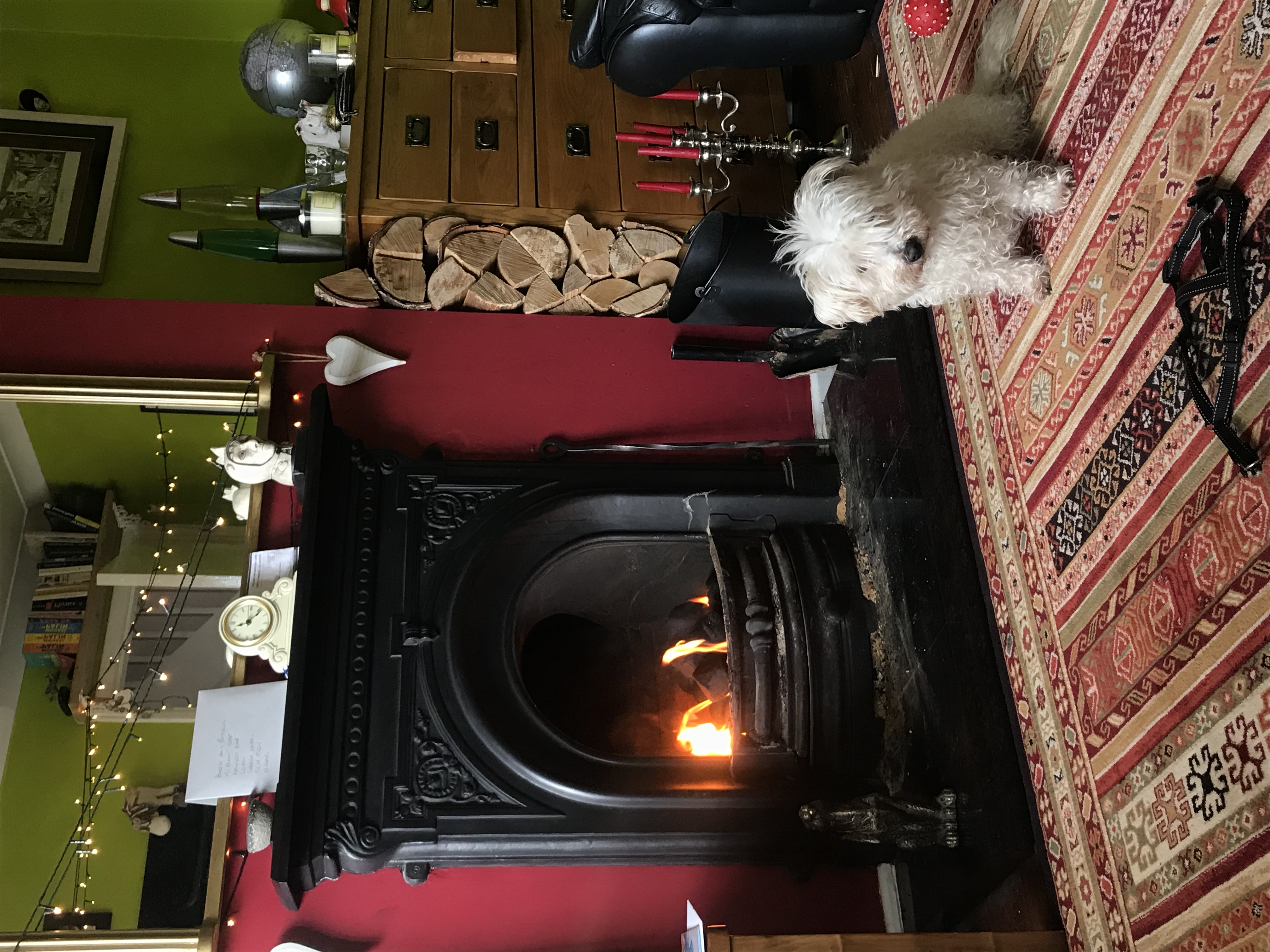 image-4