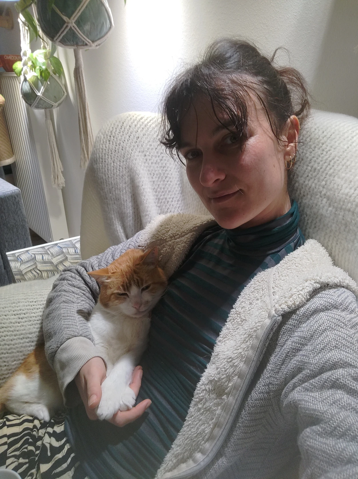 image-6