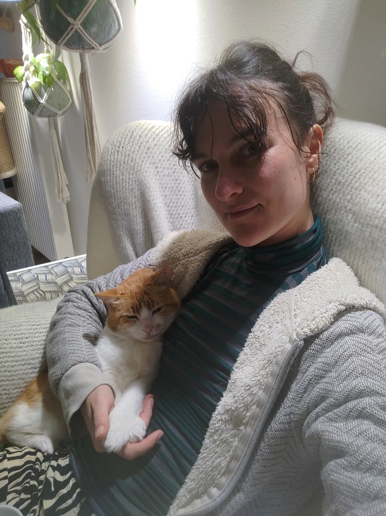 image-6