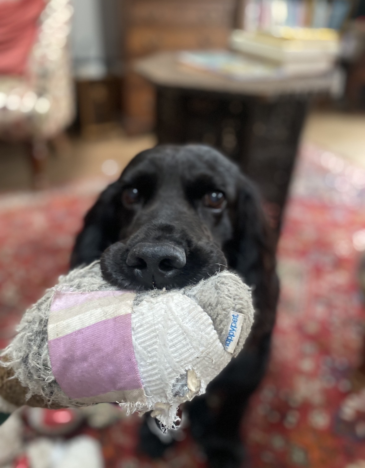 image-6