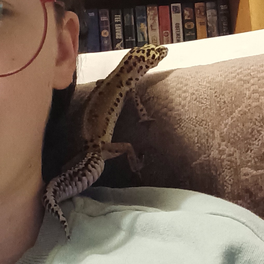 Bumi