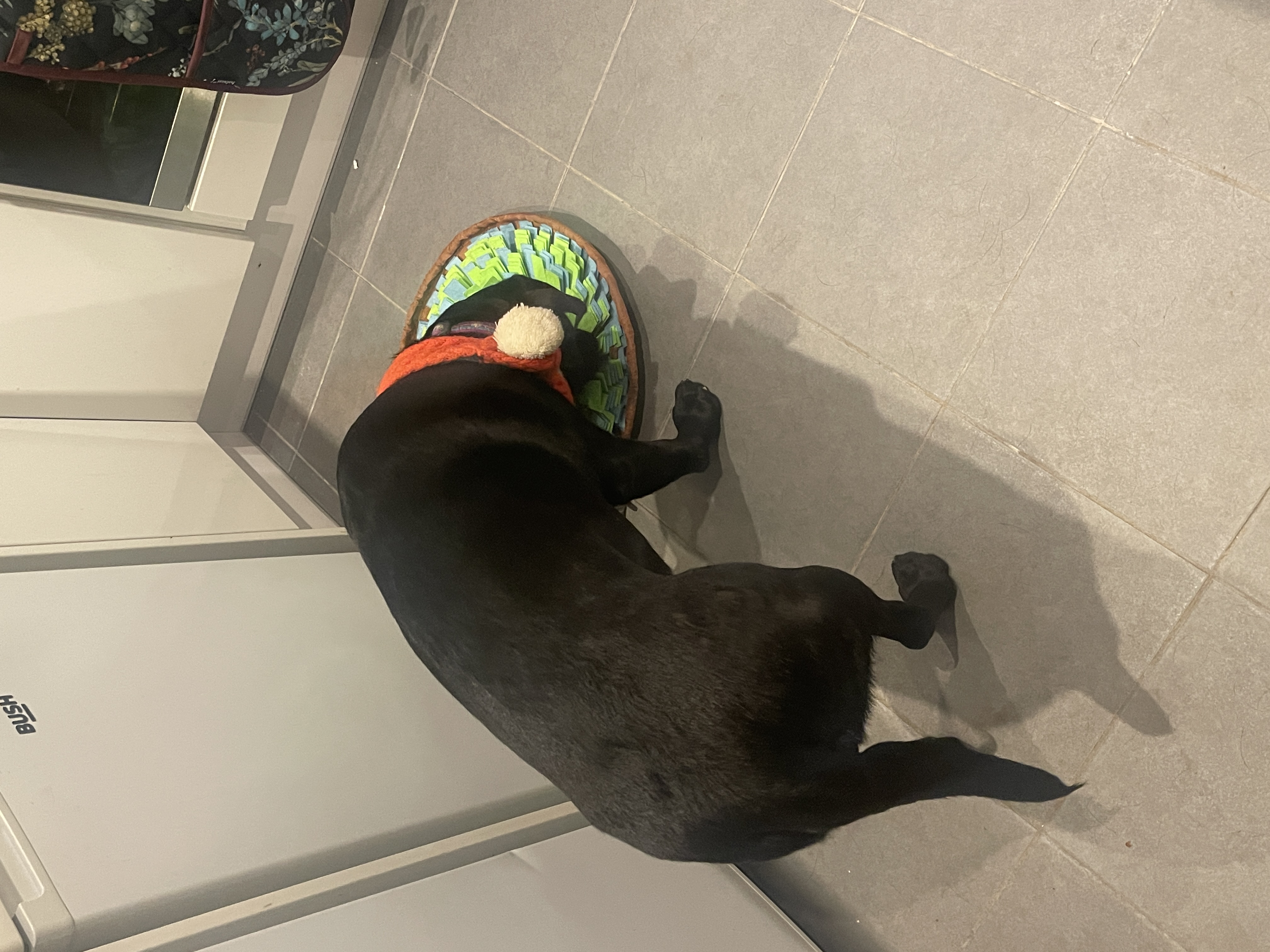 image-6