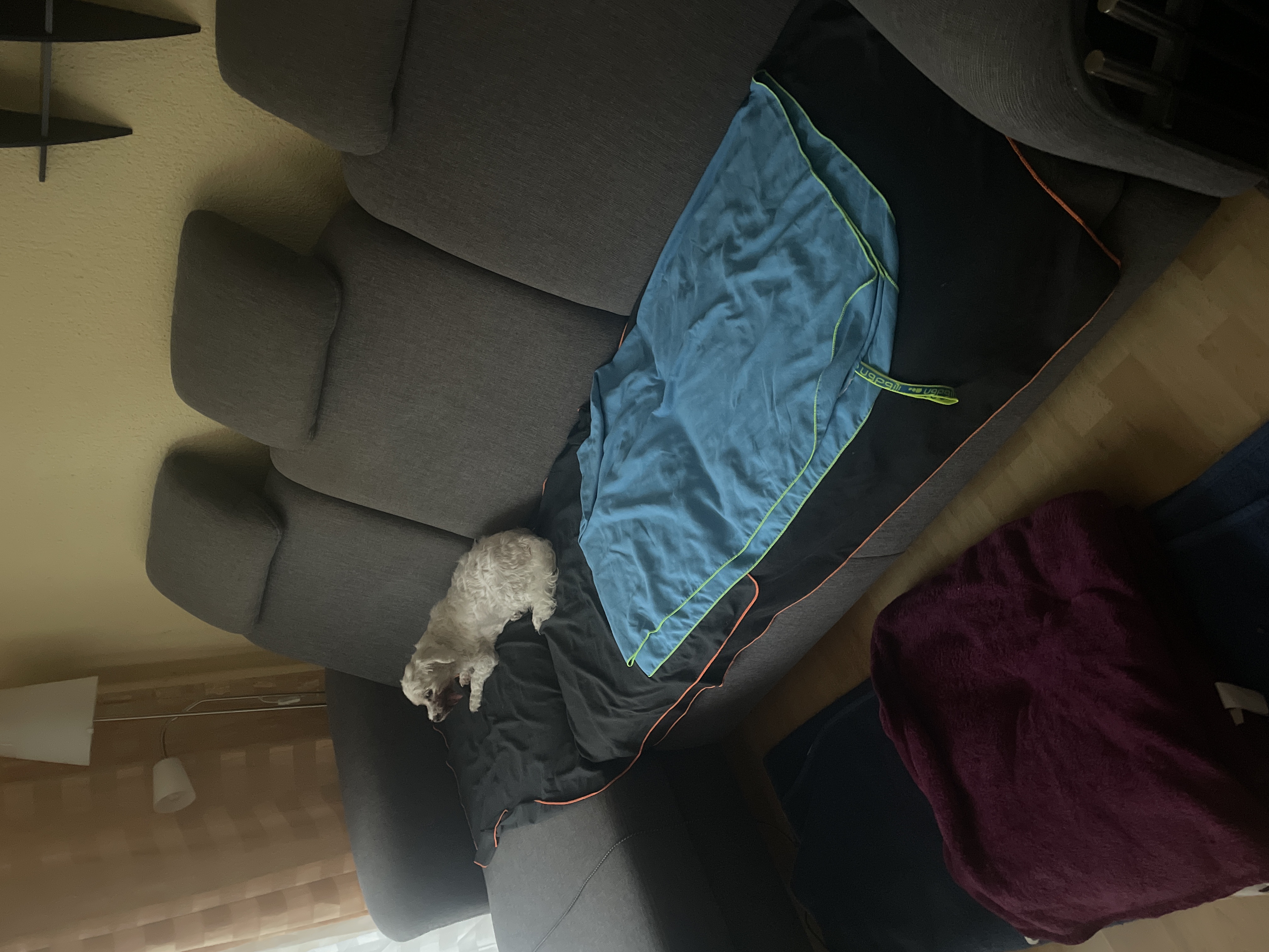 image-18