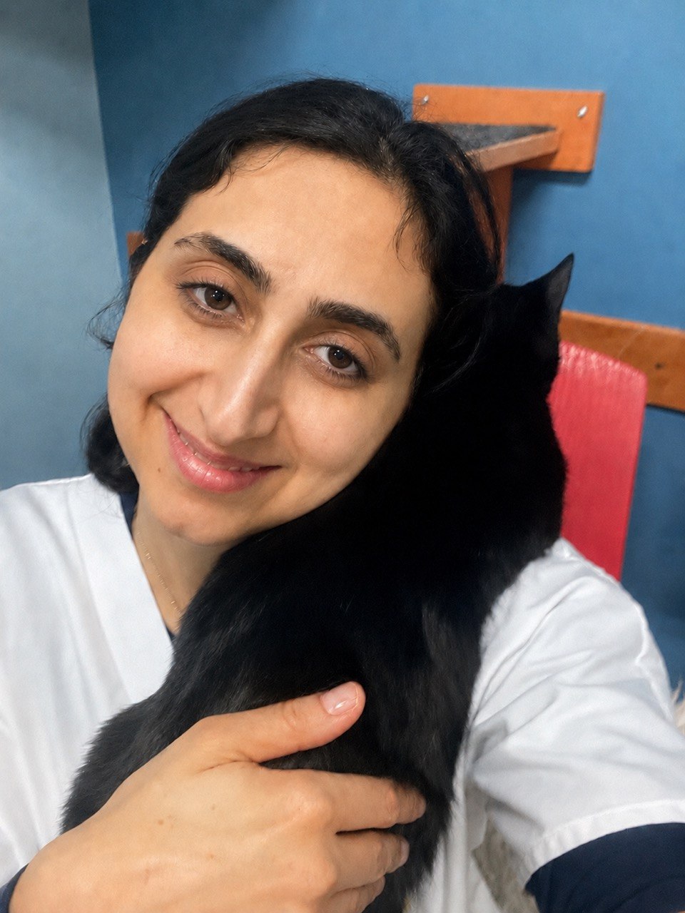image-6
