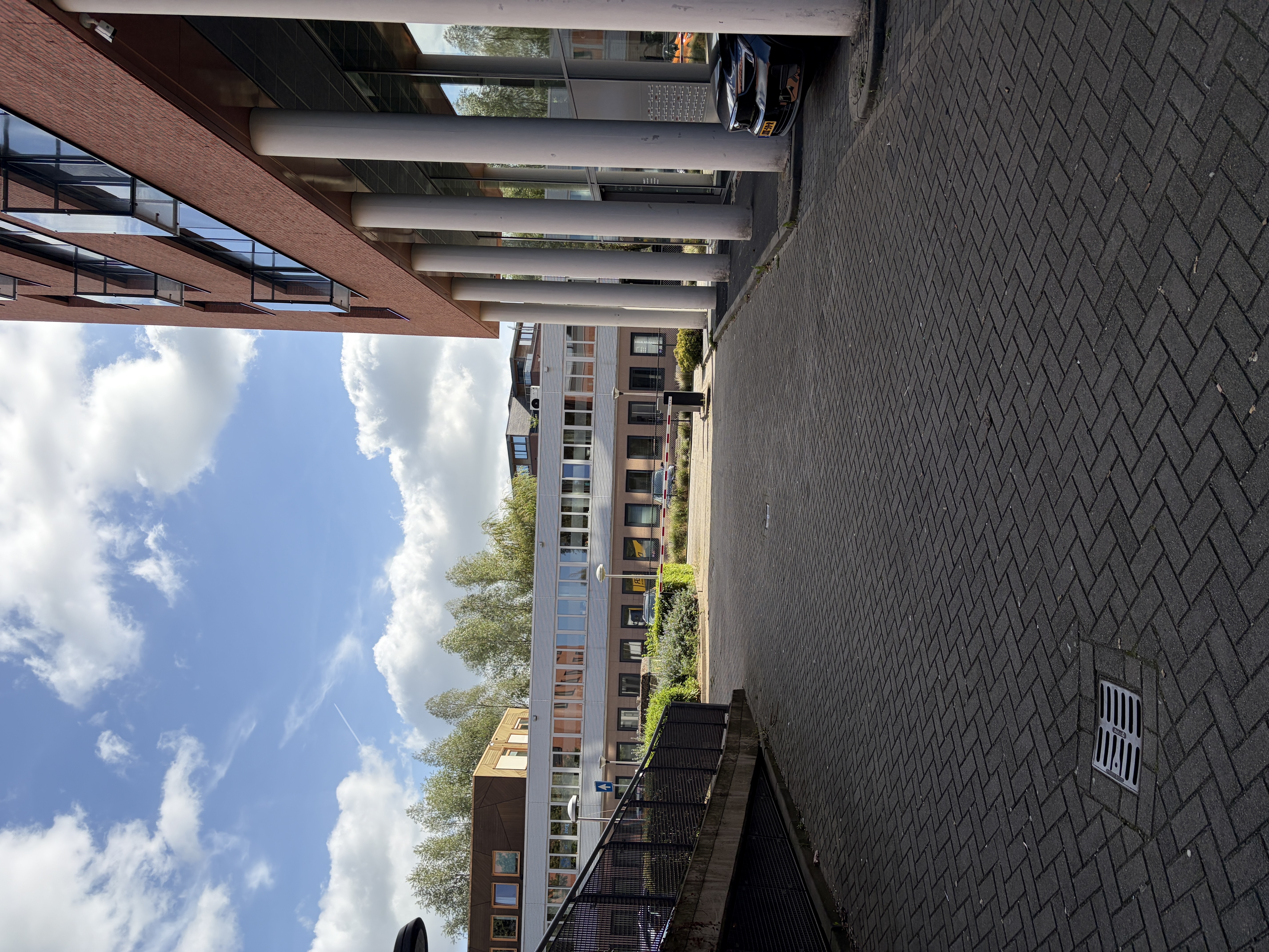 image-11
