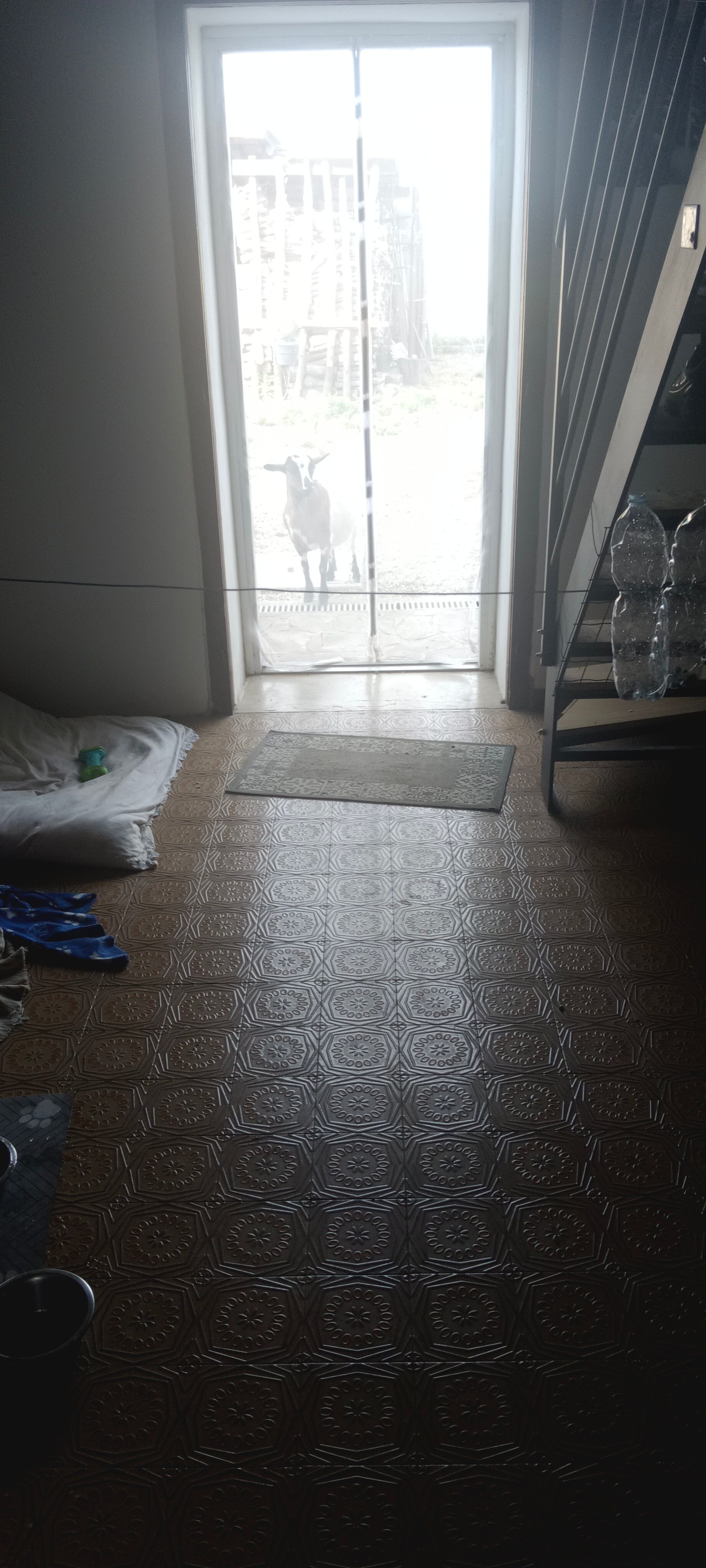image-7