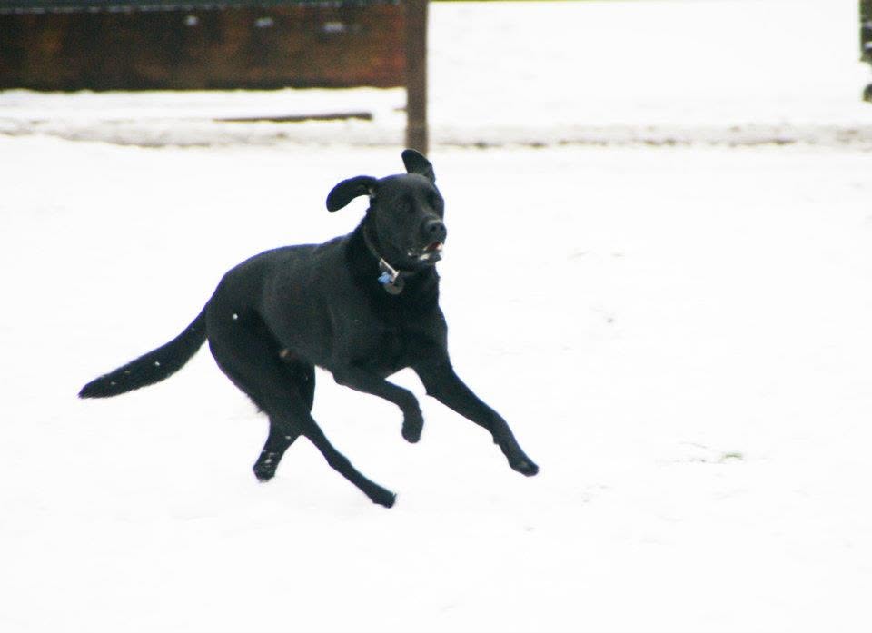 image-20