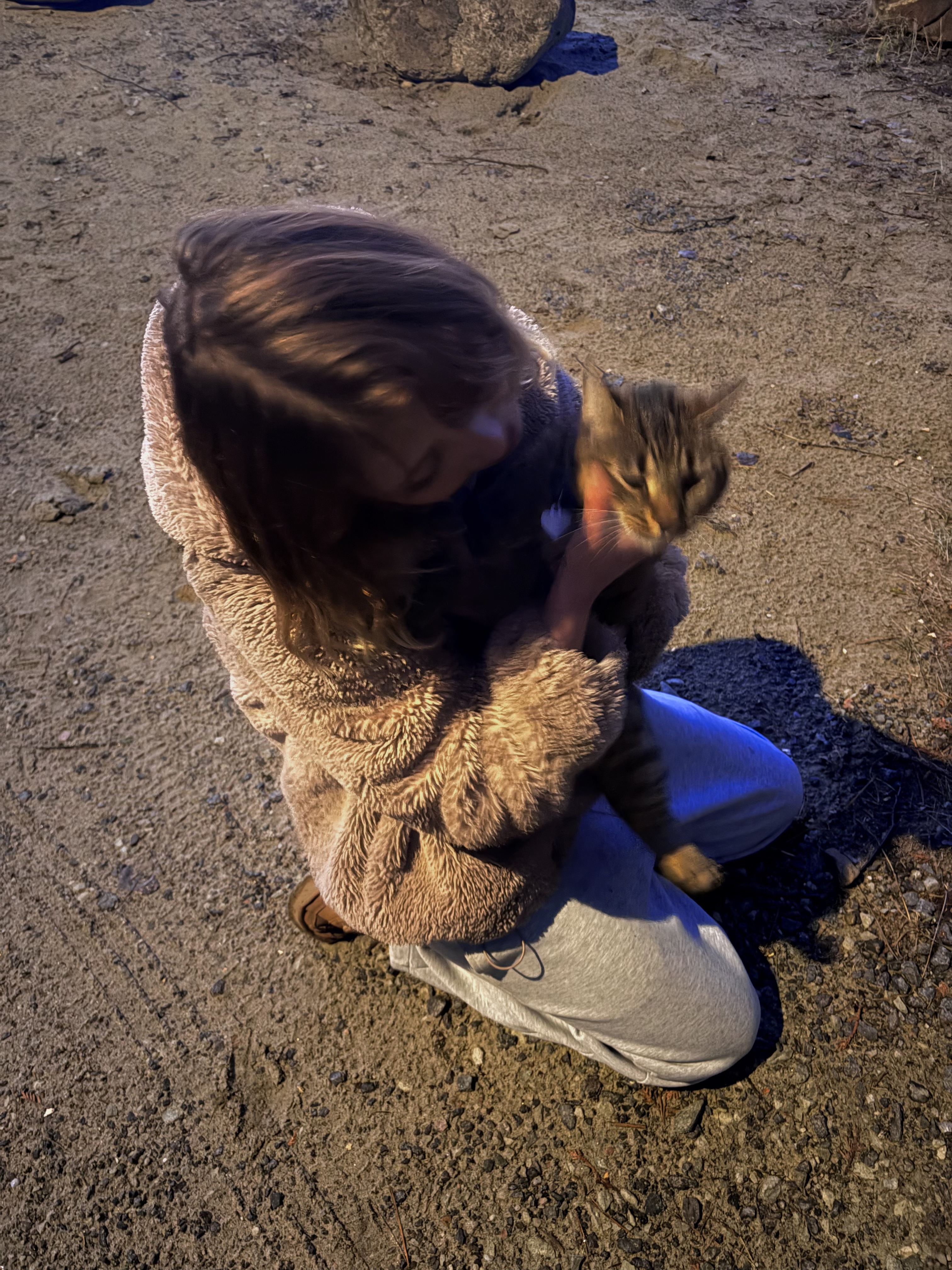 image-5