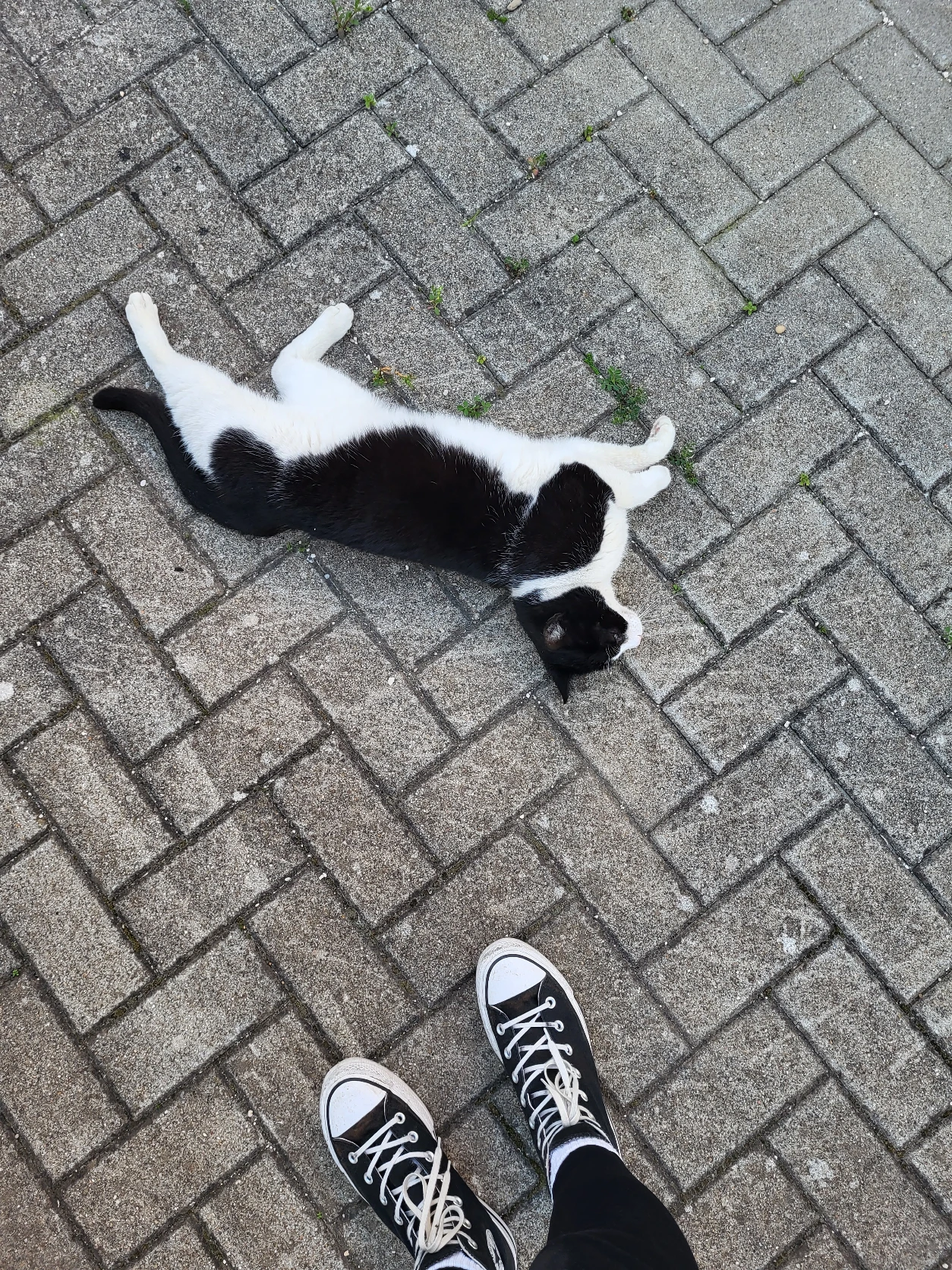 image-7
