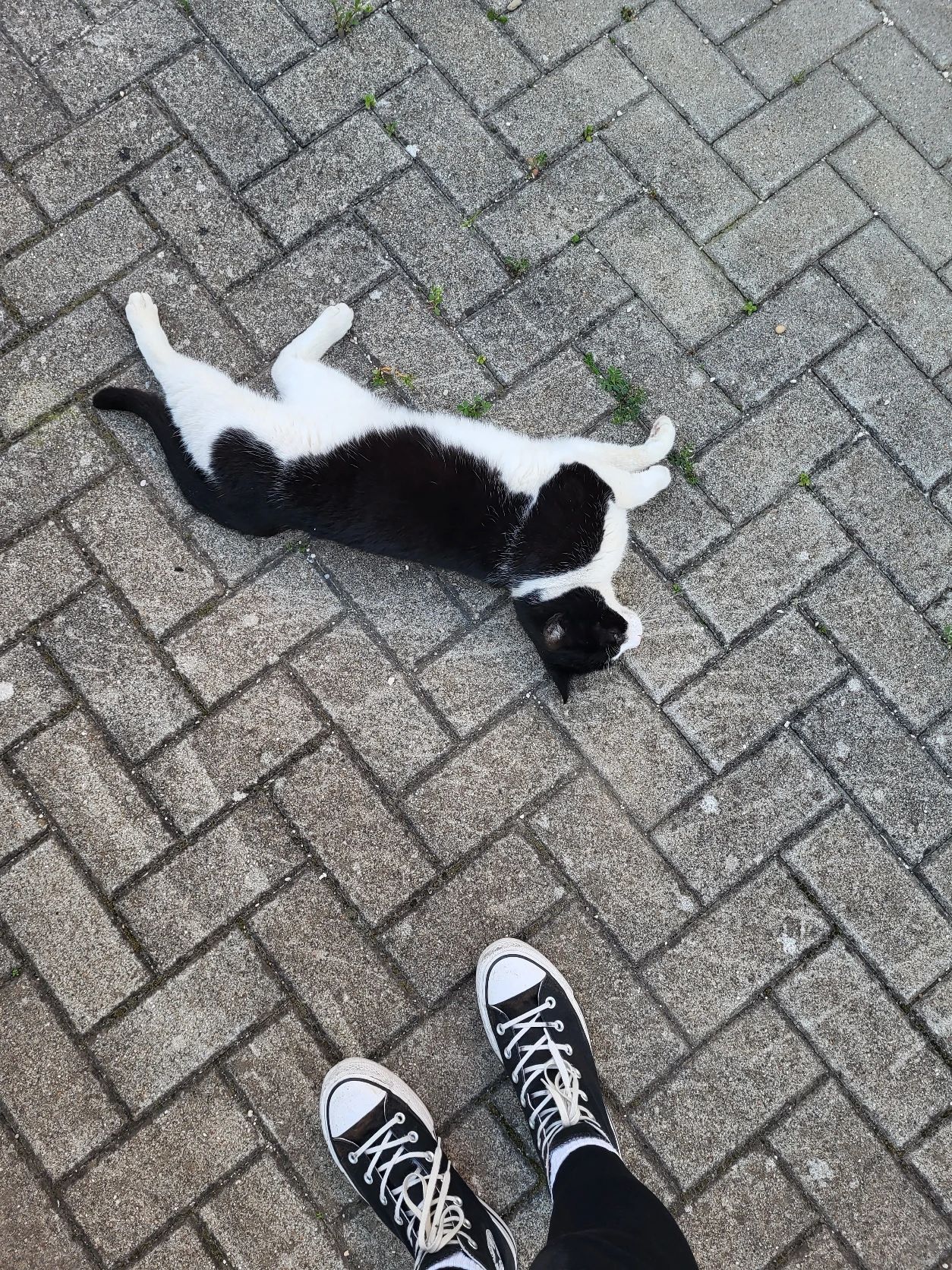 image-7