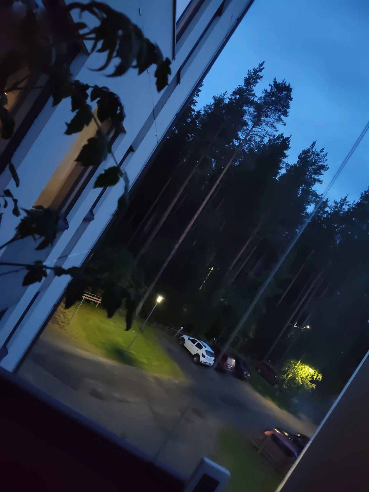 image-12