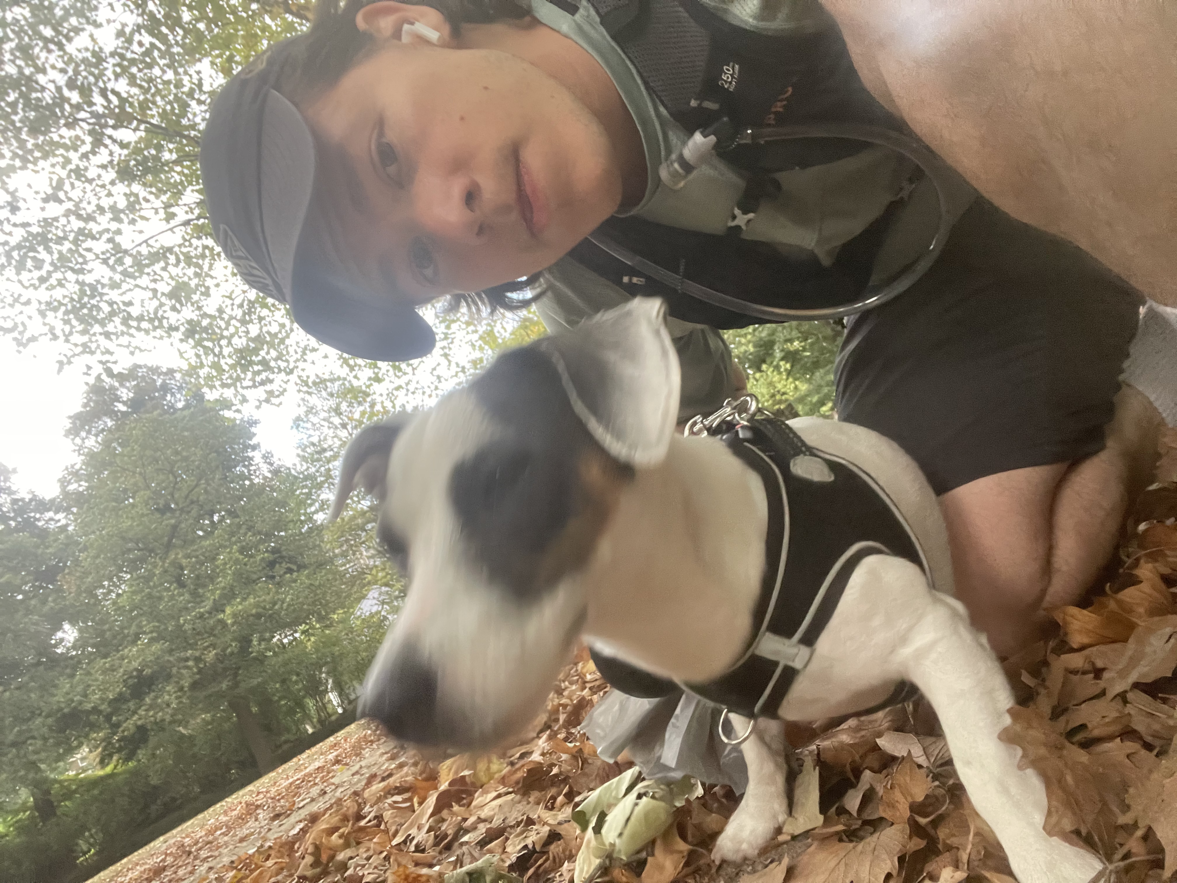 image-6