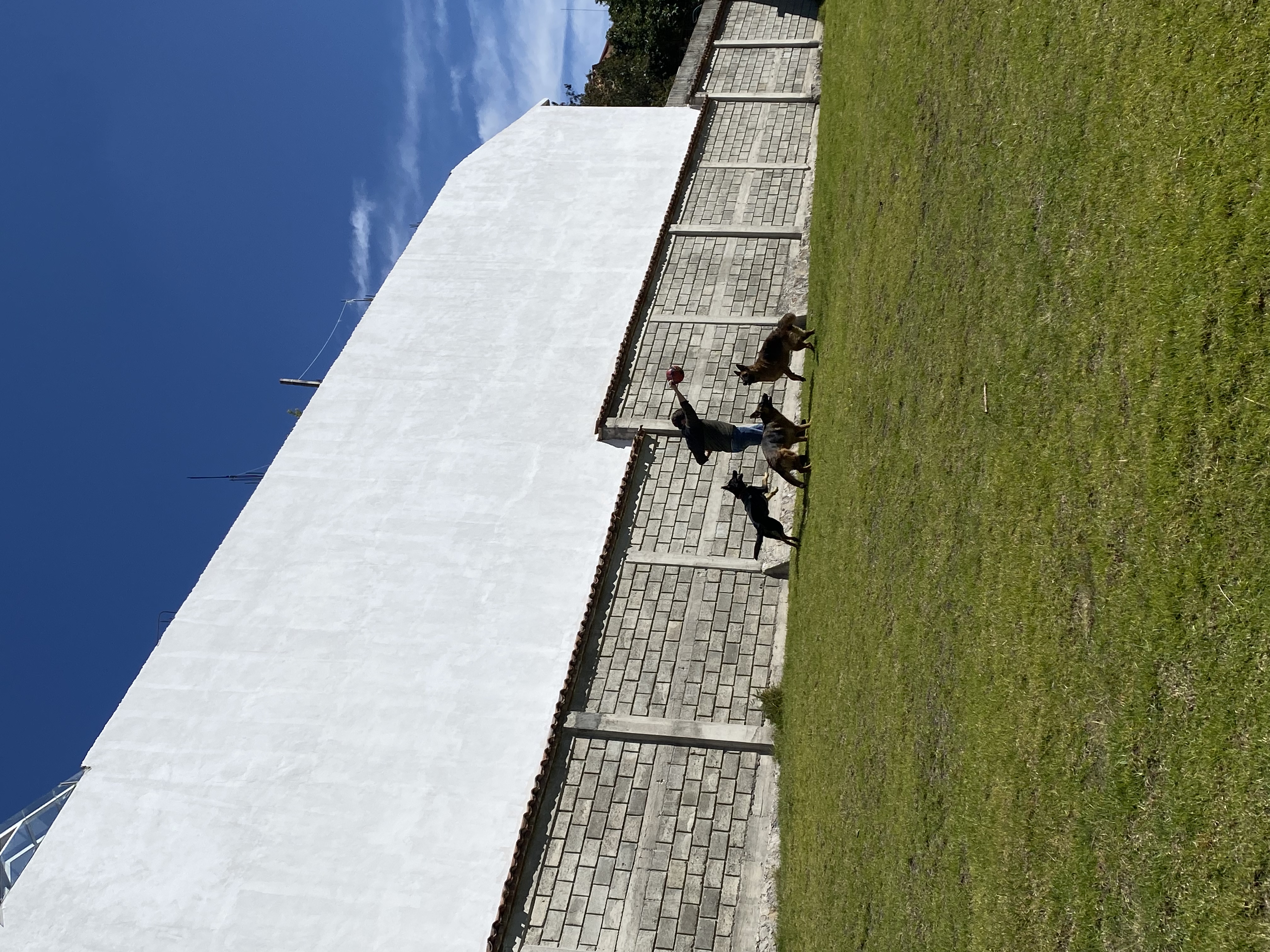 image-4