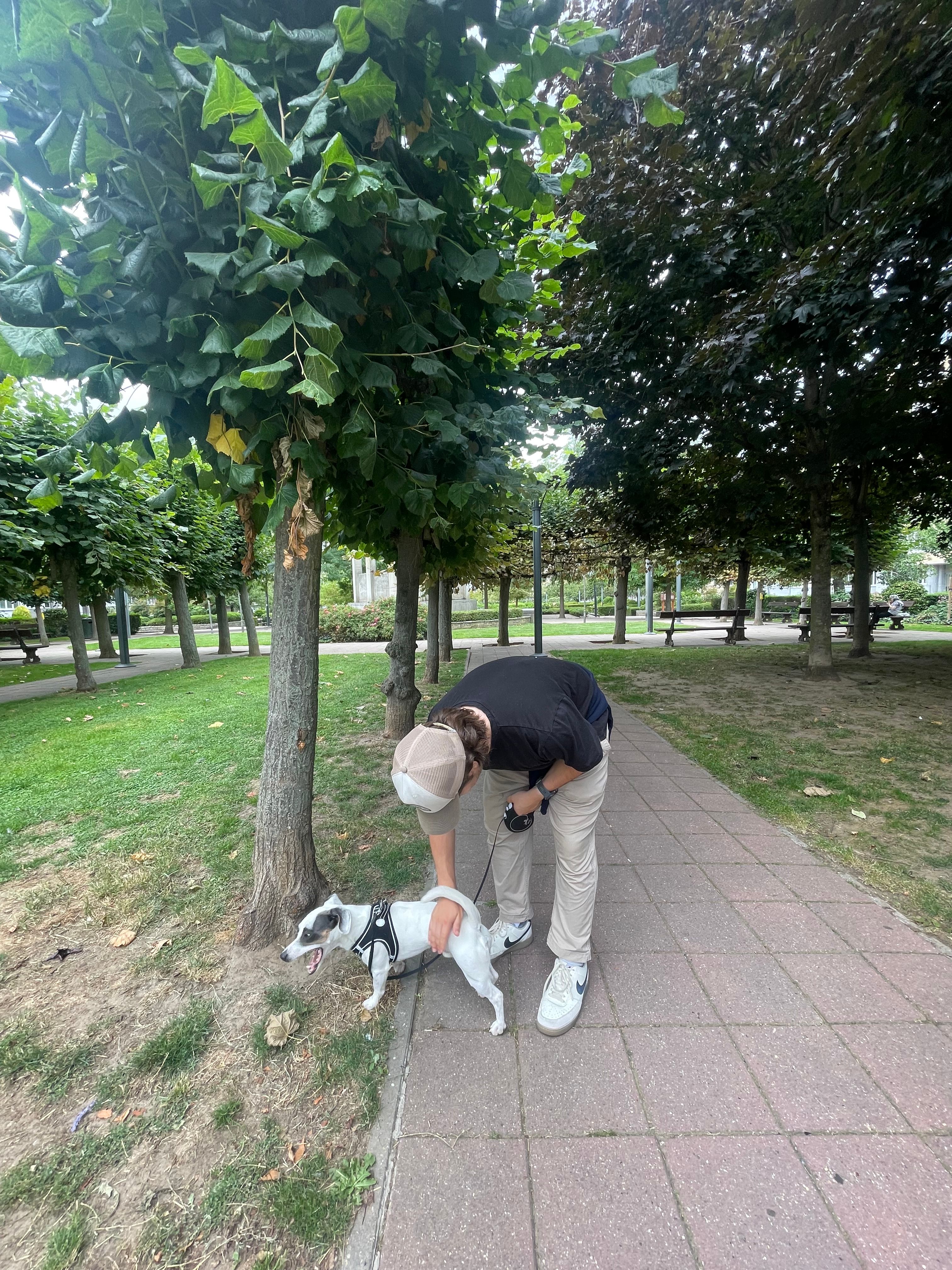 image-10