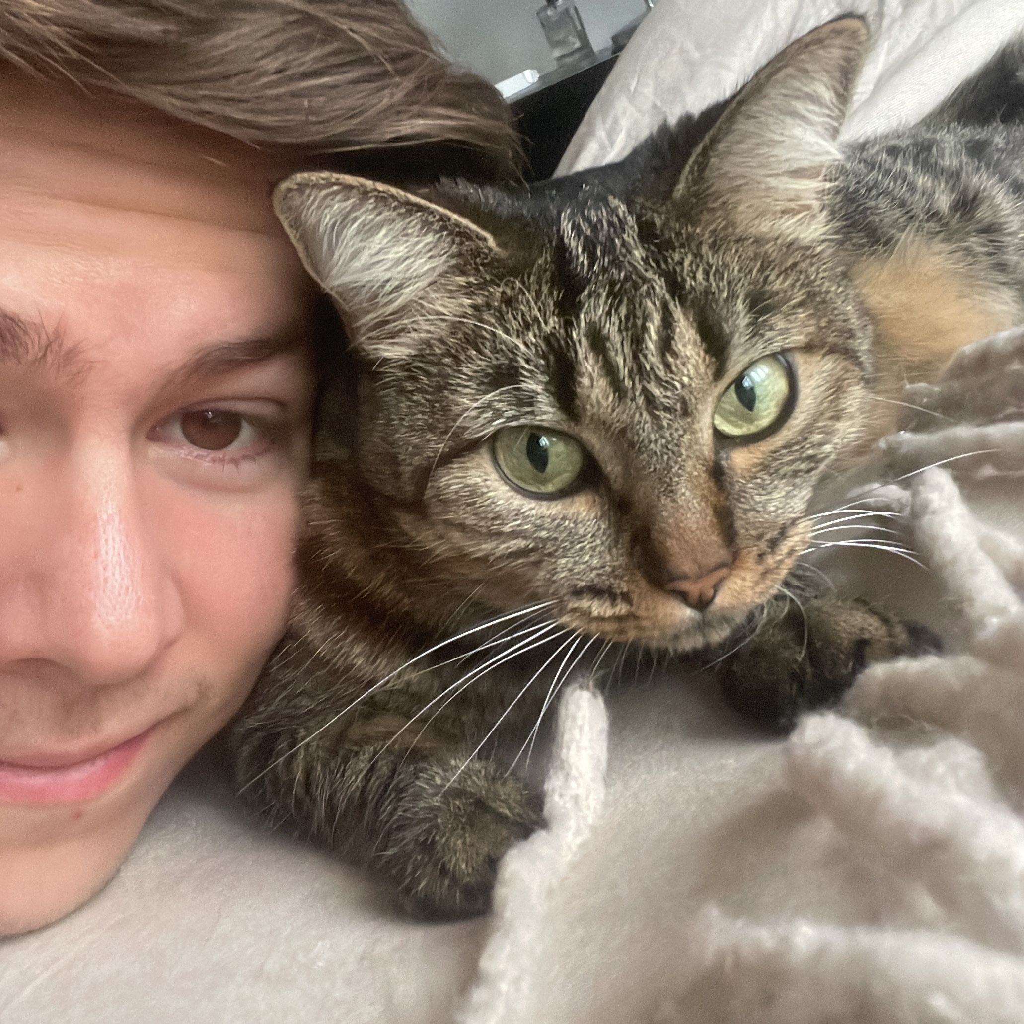 Moli