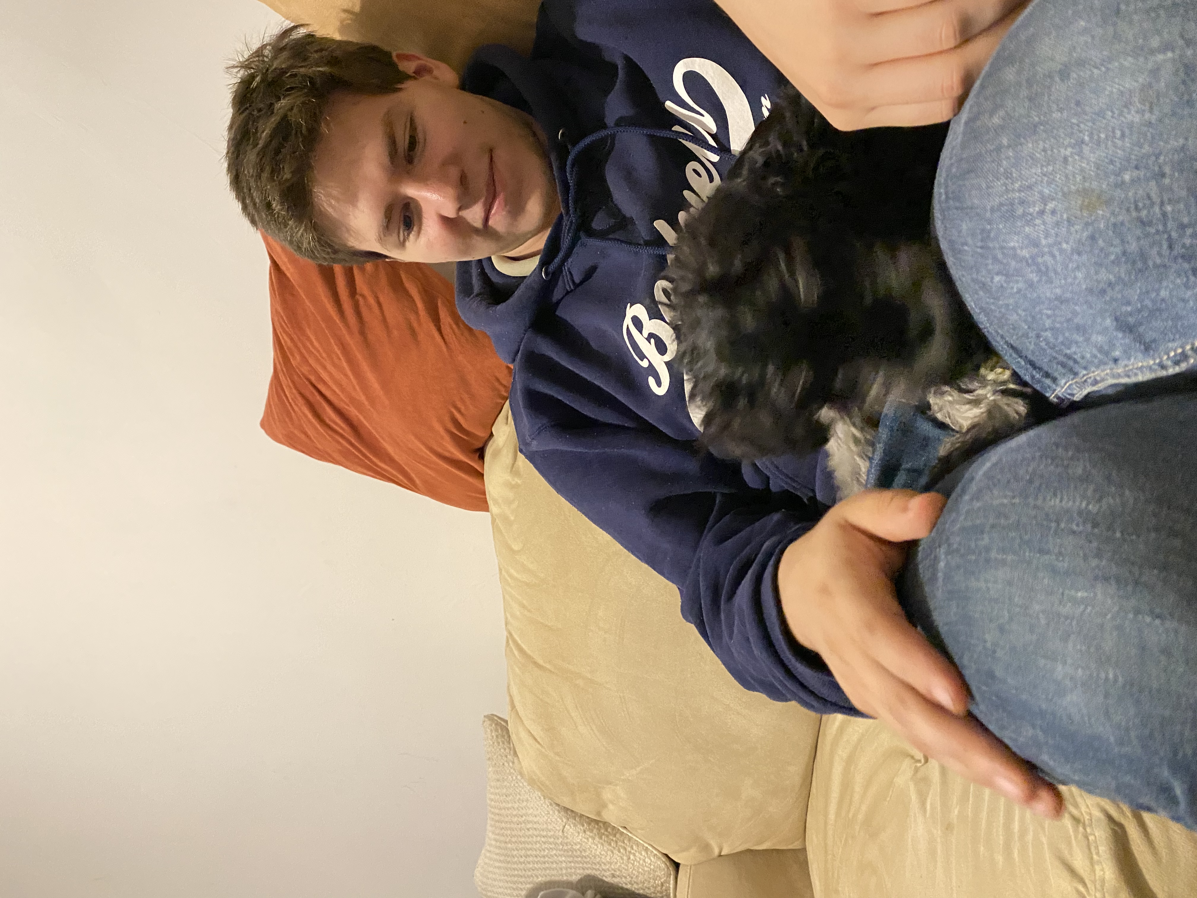 image-7